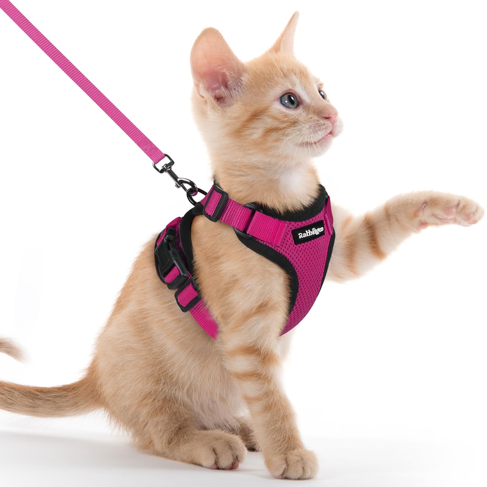 Rabbitgoo Adjustable Cat Harness and Leash Set