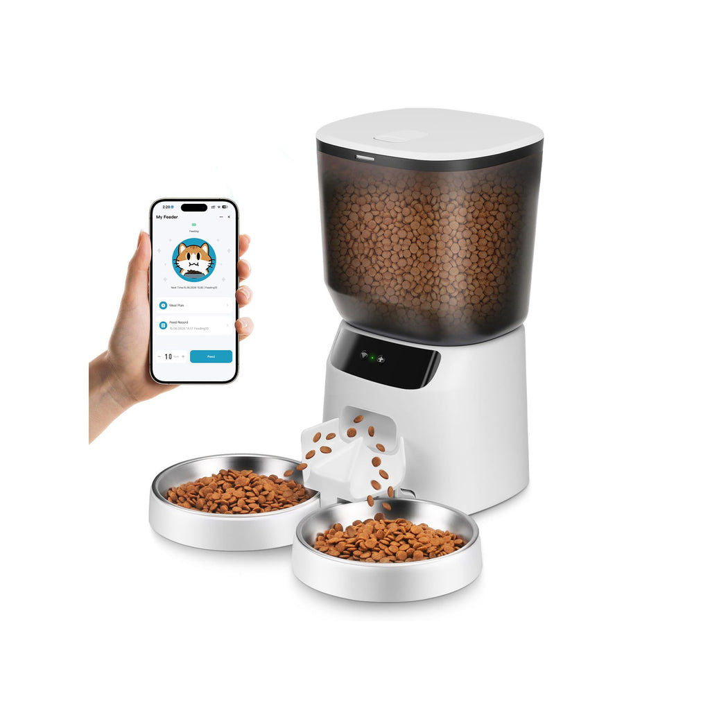 Automatic Cat Feeders for Two Cats