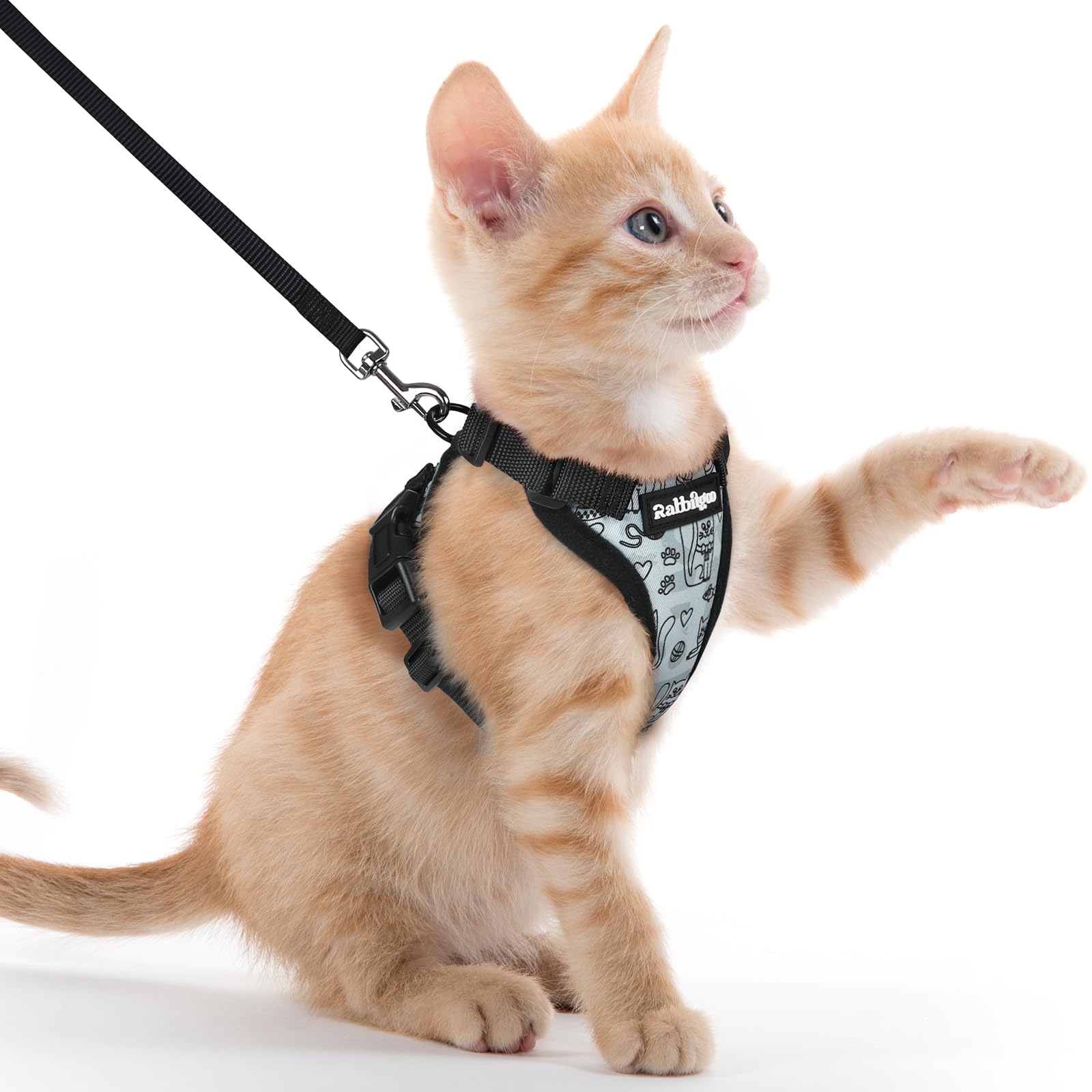 Rabbitgoo Adjustable Cat Harness and Leash Set