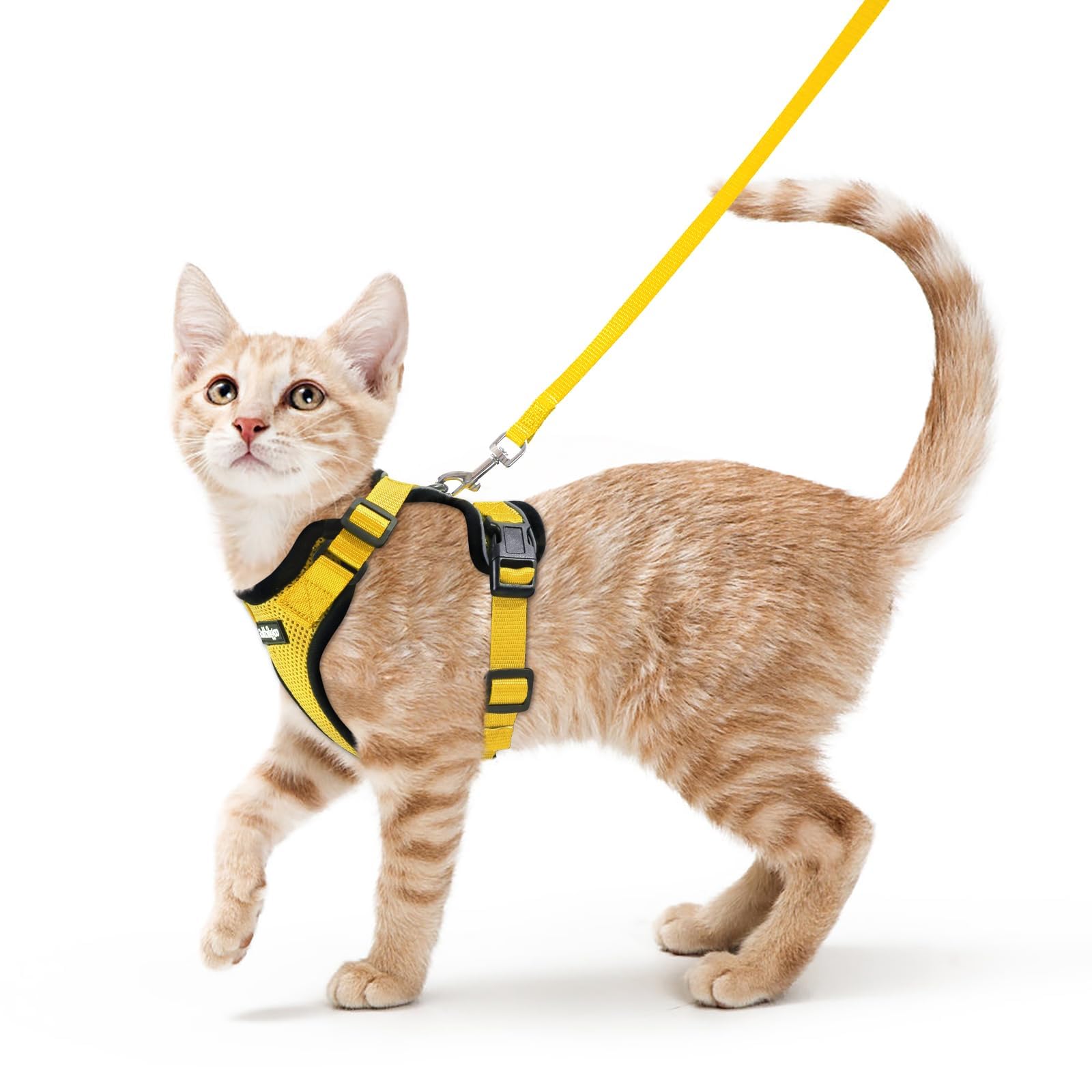 Rabbitgoo Adjustable Cat Harness and Leash Set