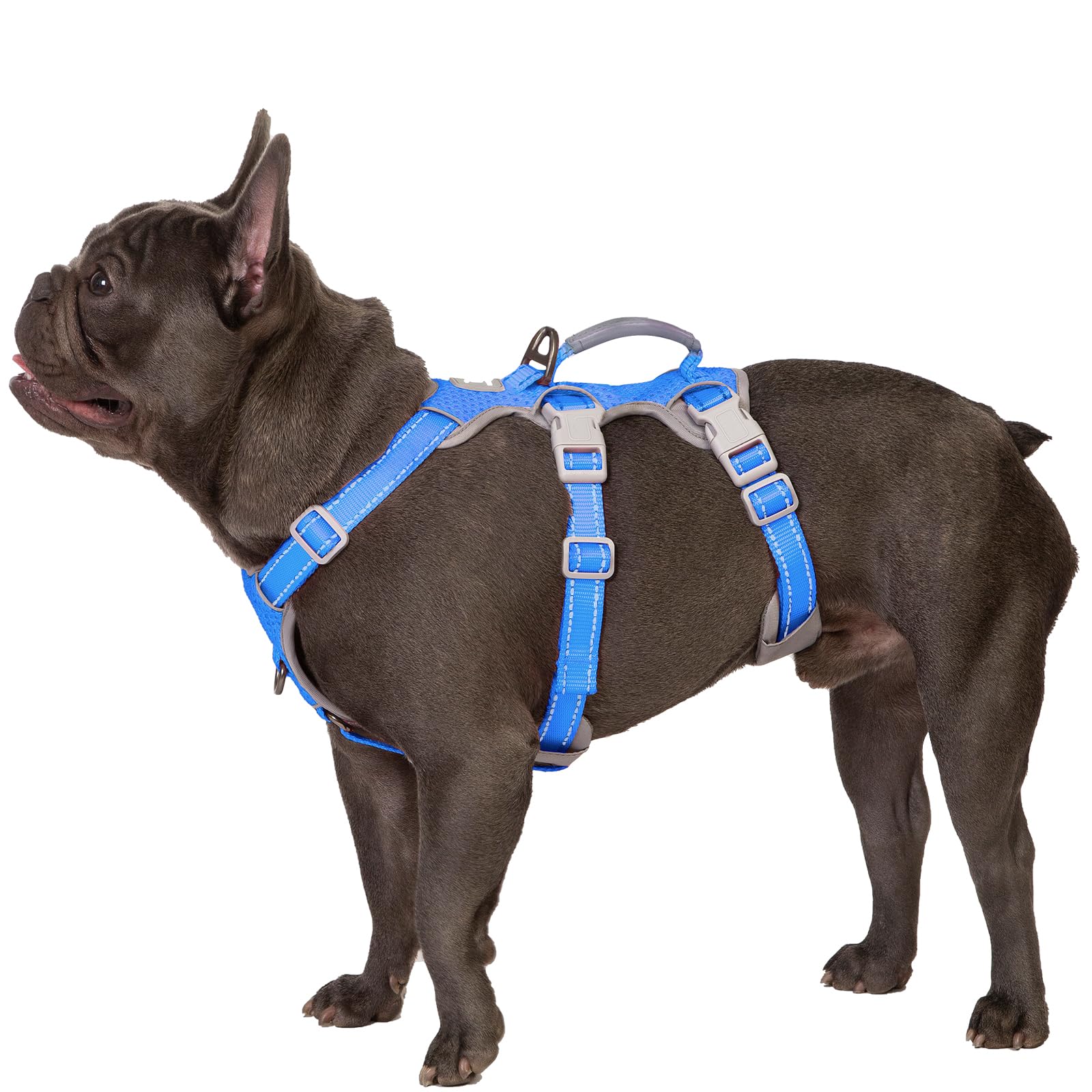Huntboo Escape-Proof Reflective Dog Harness with Handle