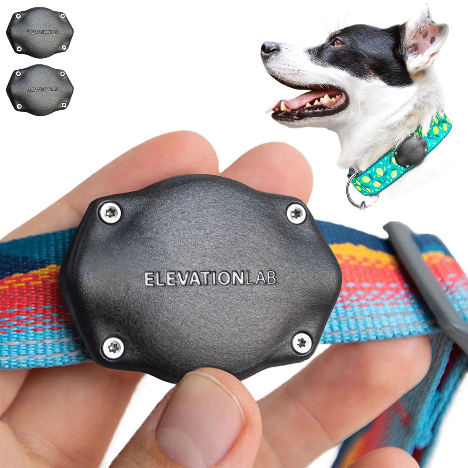 TagVault Pet: The Original AirTag Dog Collar Waterproof Mount, Ultra-Durable, Fits All Width Collars | Elevation Lab
