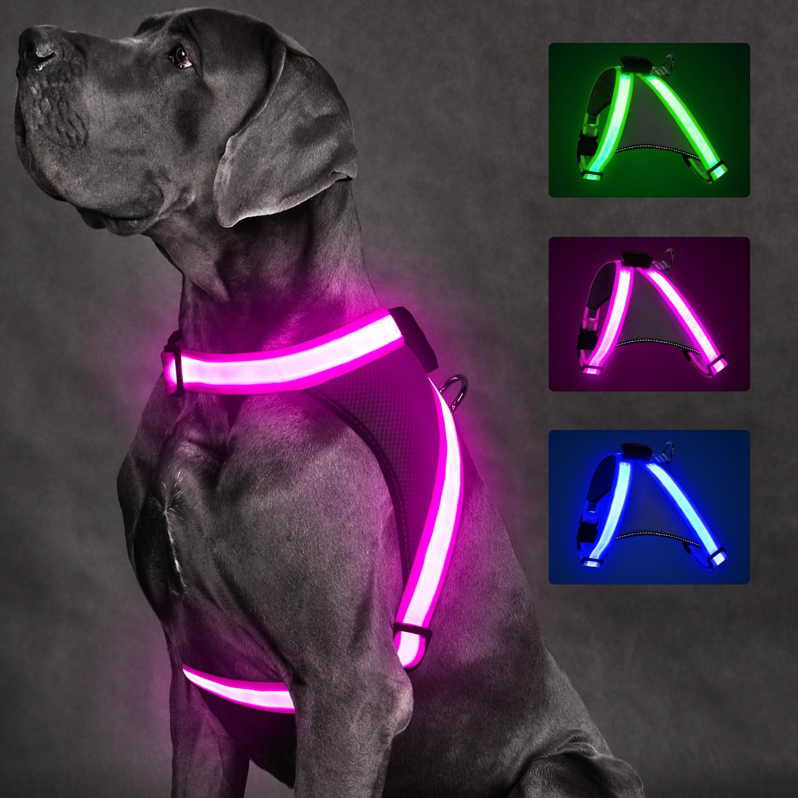 ChalkLit Light Up Dog Harness