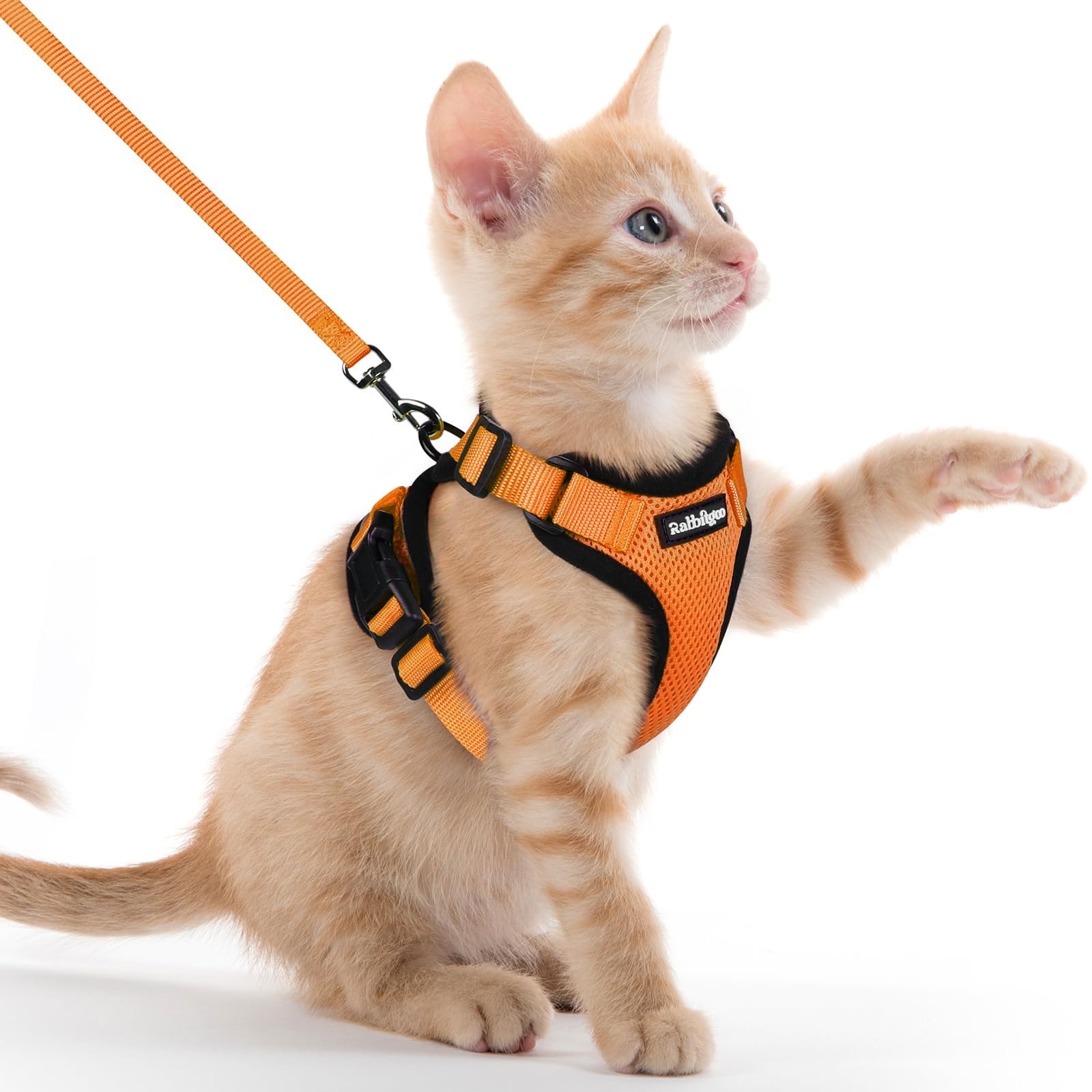 Rabbitgoo Adjustable Cat Harness and Leash Set