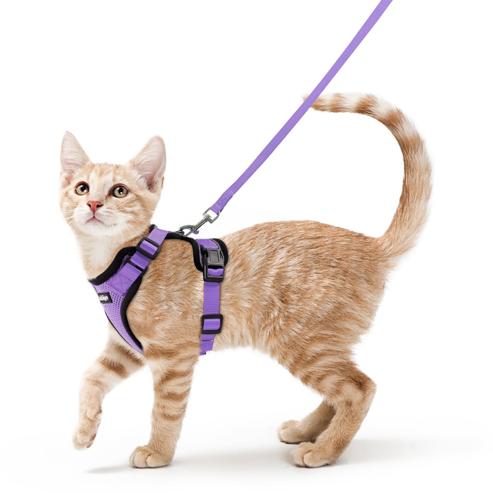 Rabbitgoo Adjustable Cat Harness and Leash Set
