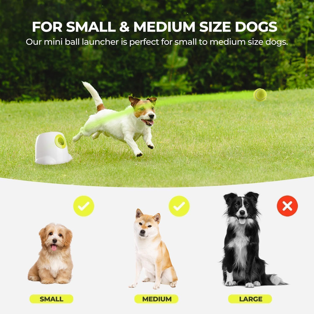 AFP Automatic Dog Ball Launcher with 3 Fetch Balls