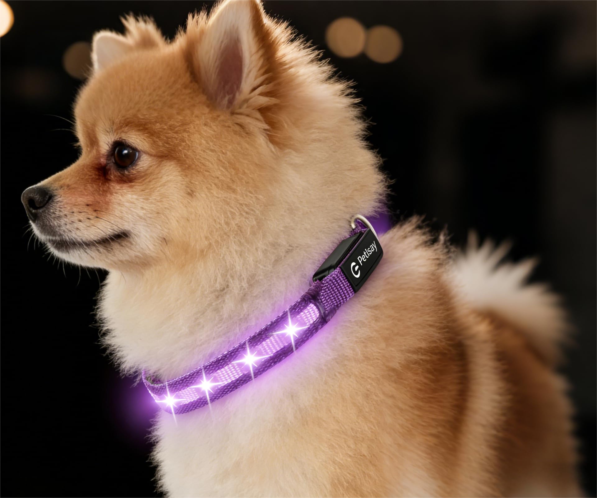 Super Bright USB-C Rechargeable LED Dog Safety Collar