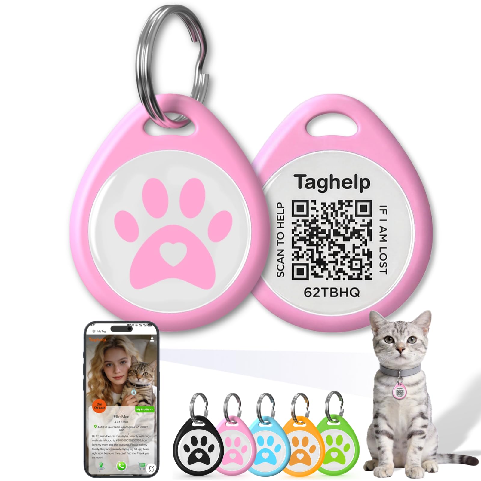 Pet ID Tags