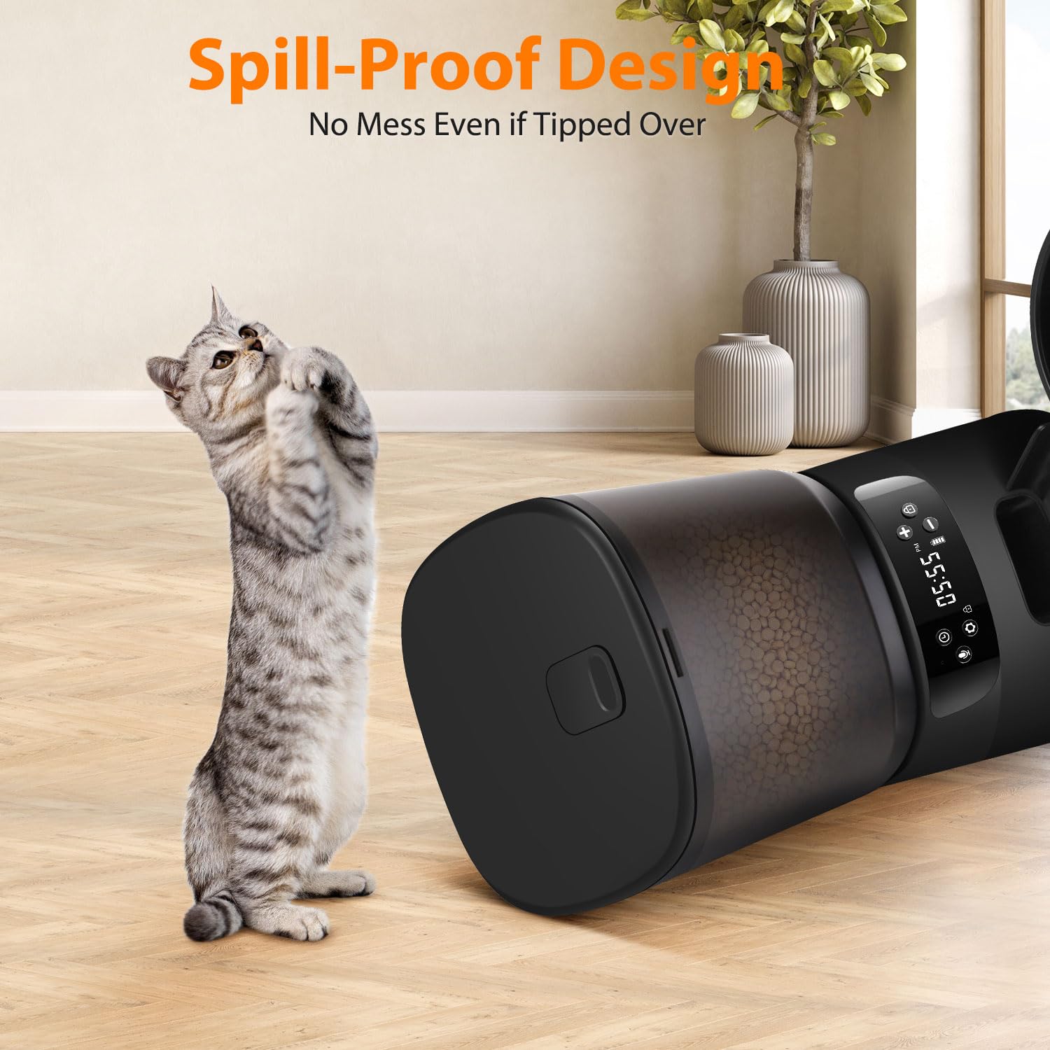 Automatic Cat Feeders for Two Cats