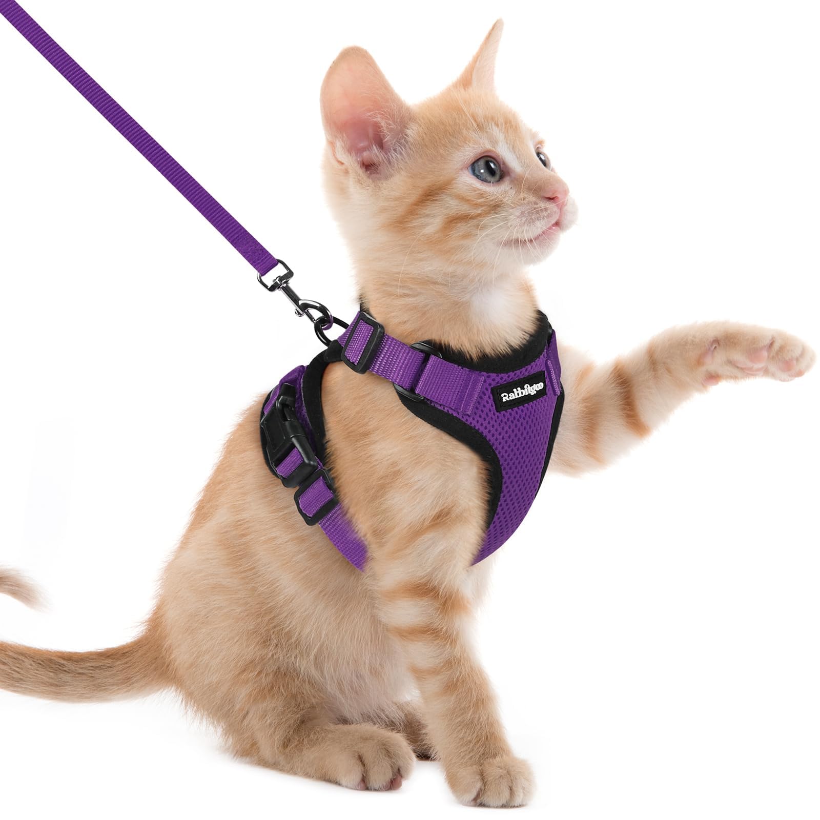 Rabbitgoo Adjustable Cat Harness and Leash Set