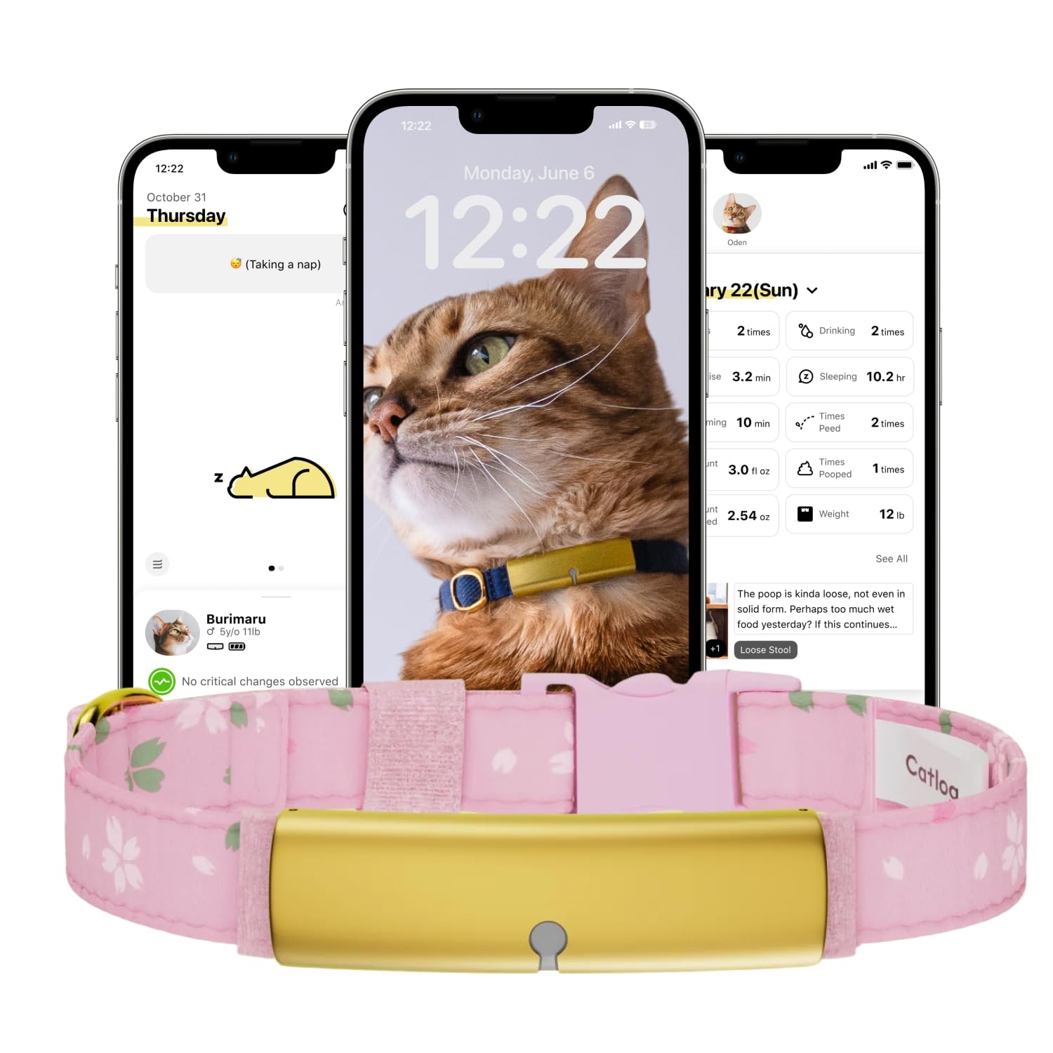 Catlog Replacement Collar Belt for Pet Activity Tracker