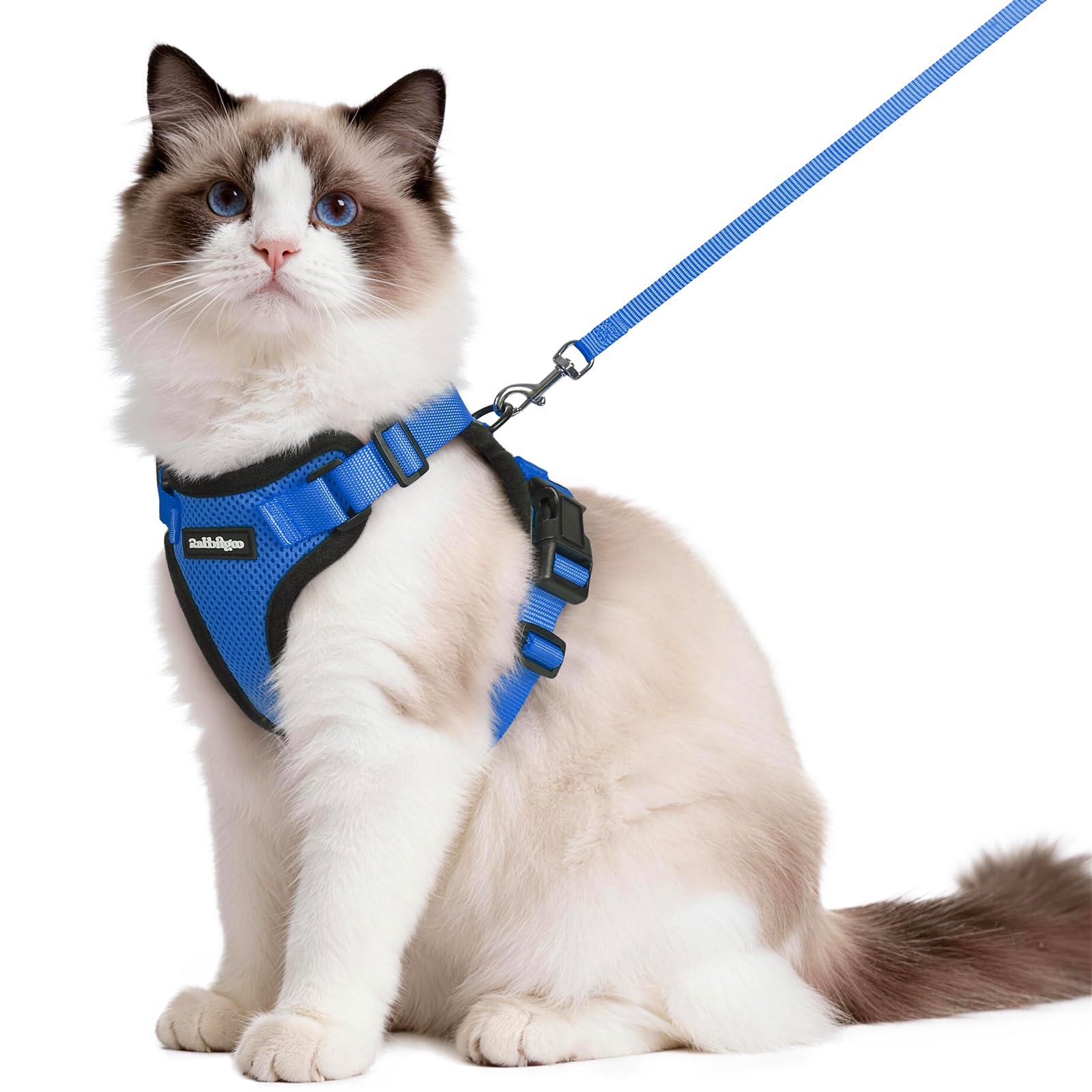 Rabbitgoo Adjustable Cat Harness and Leash Set