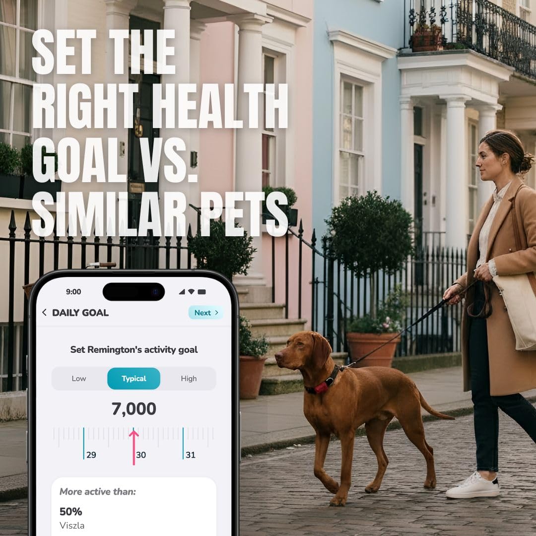 FitBark 2 Waterproof Dog Activity and Fitness Tracker