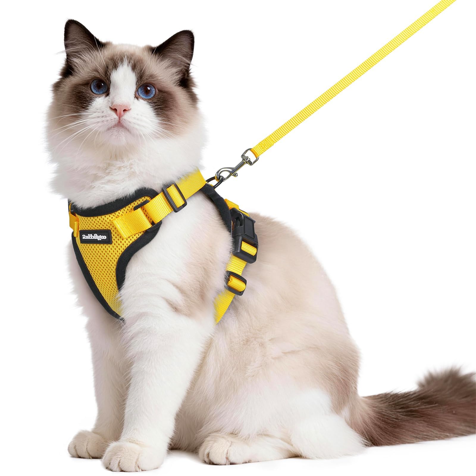Rabbitgoo Adjustable Cat Harness and Leash Set