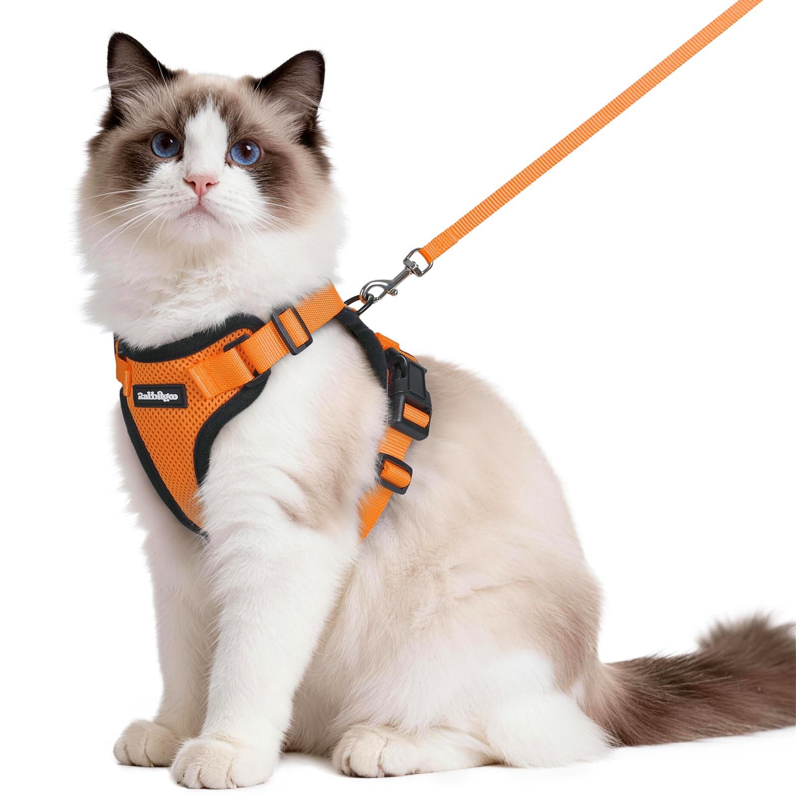 Rabbitgoo Adjustable Cat Harness and Leash Set