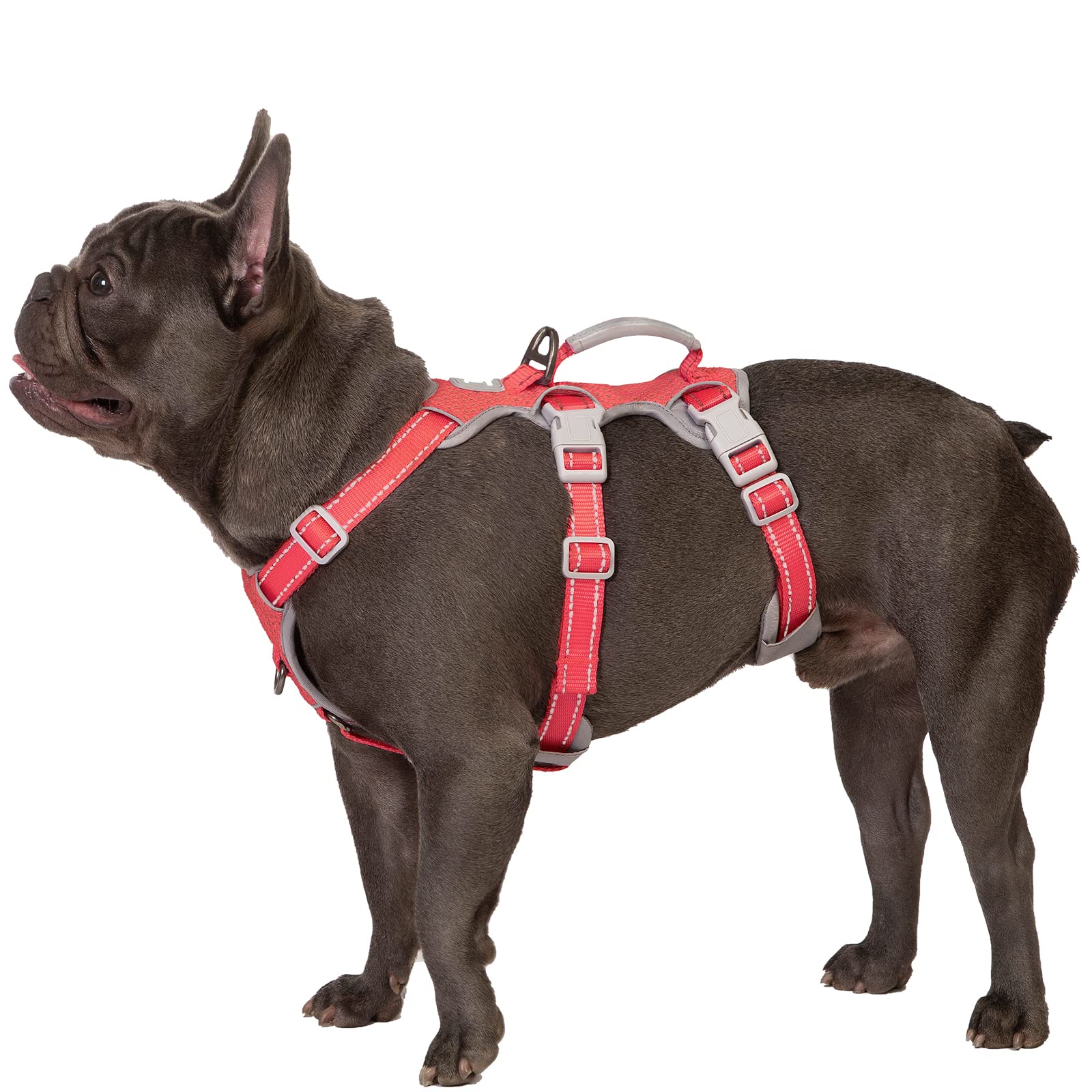 Huntboo Escape-Proof Reflective Dog Harness with Handle