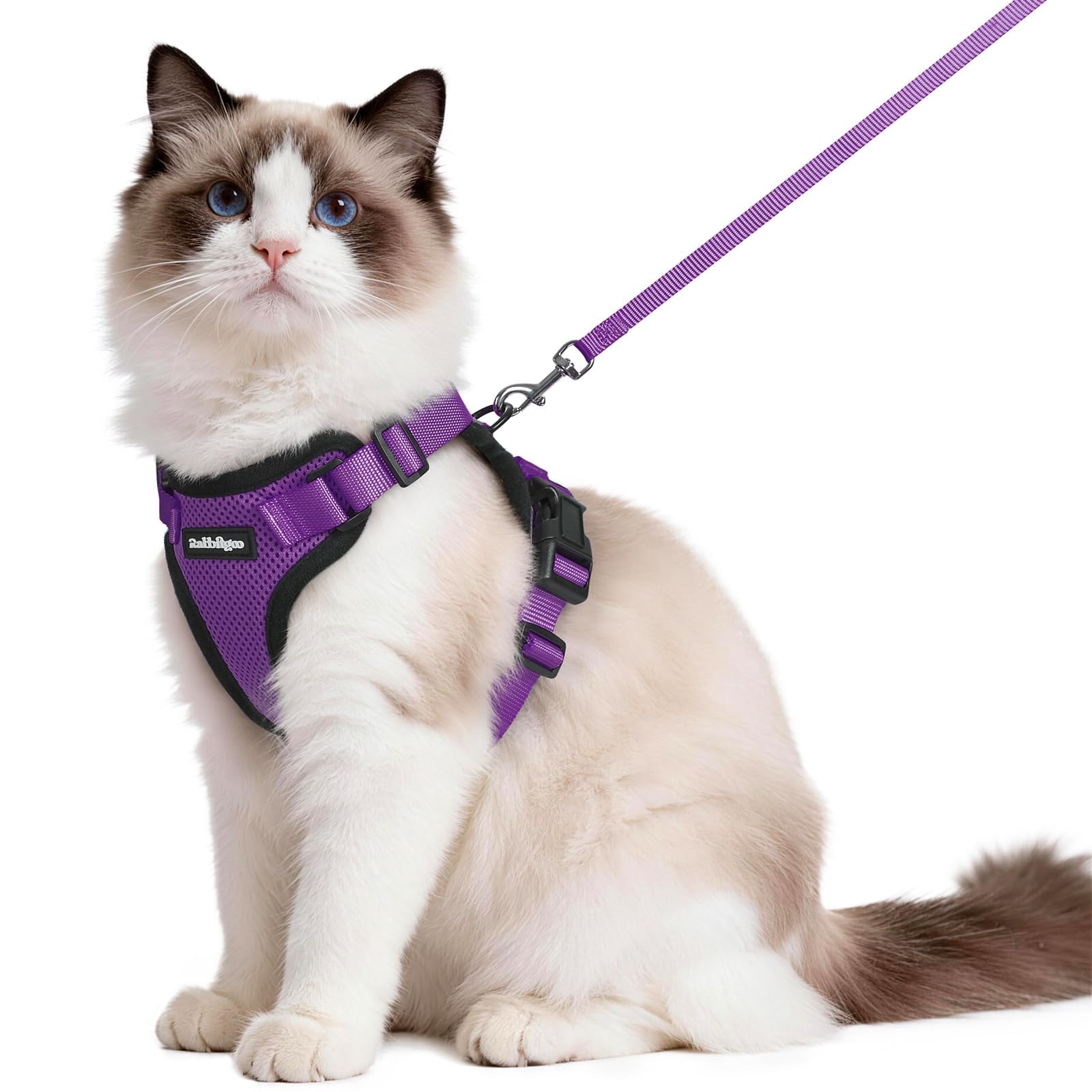 Rabbitgoo Adjustable Cat Harness and Leash Set