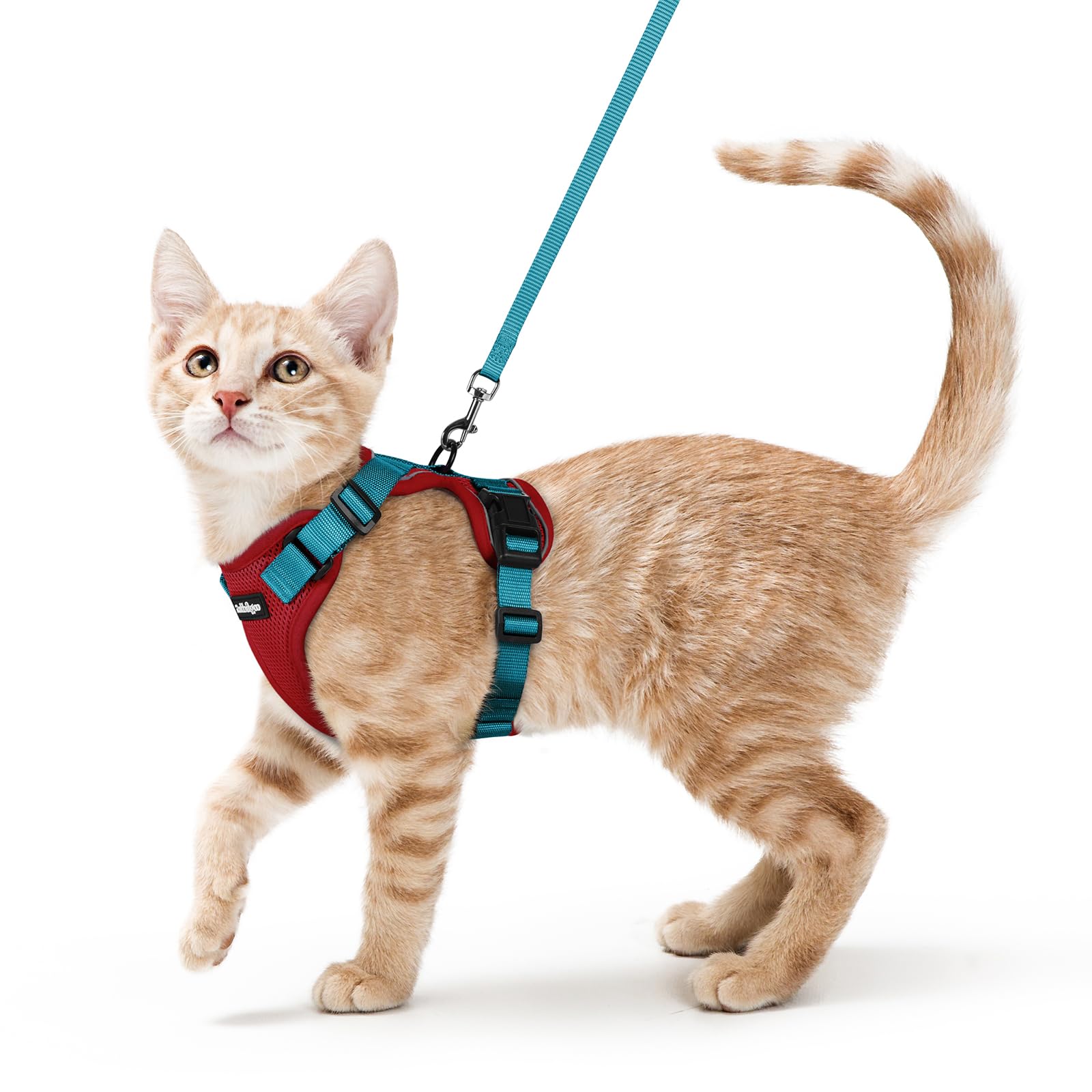 Rabbitgoo Adjustable Cat Harness and Leash Set