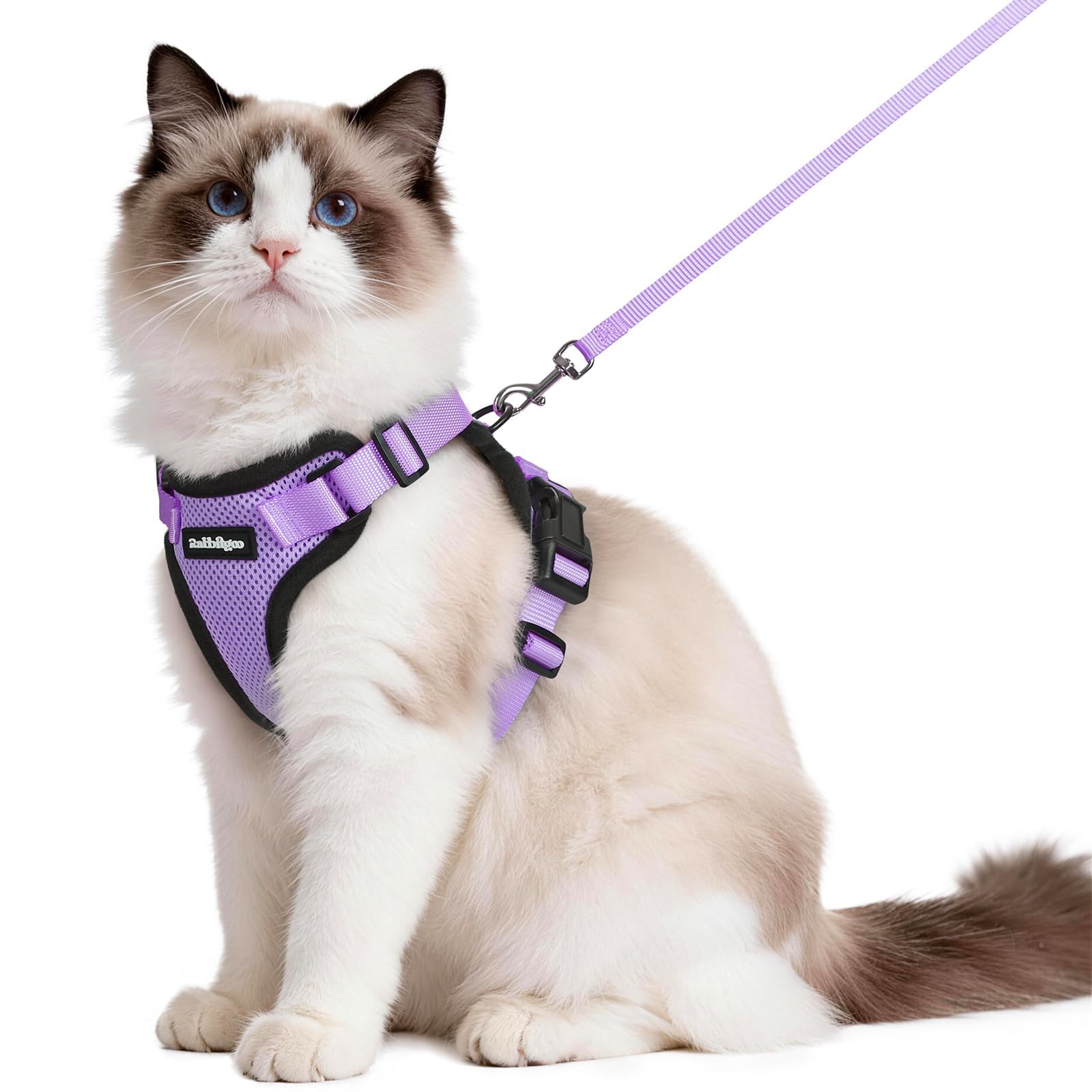 Rabbitgoo Adjustable Cat Harness and Leash Set