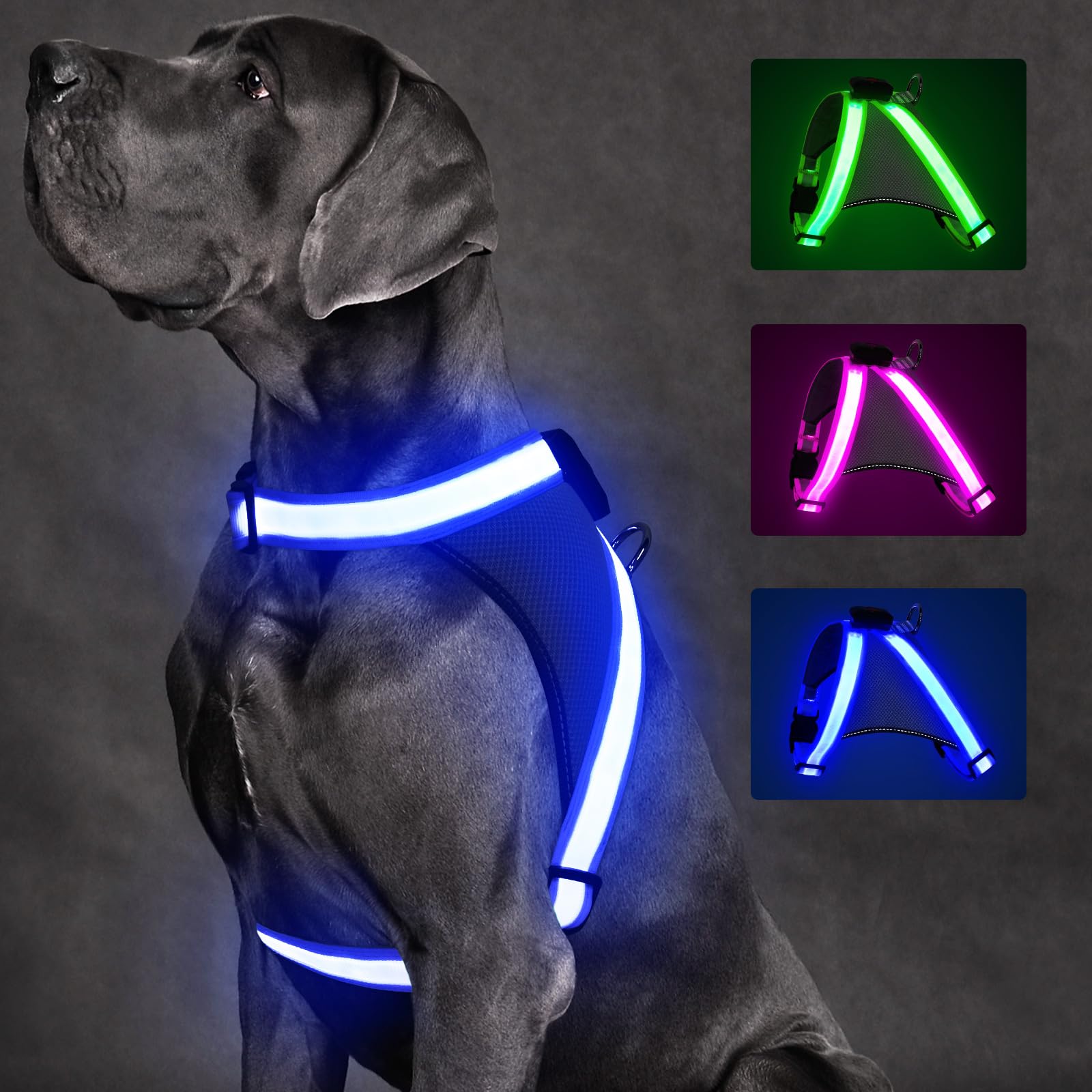 ChalkLit Light Up Dog Harness