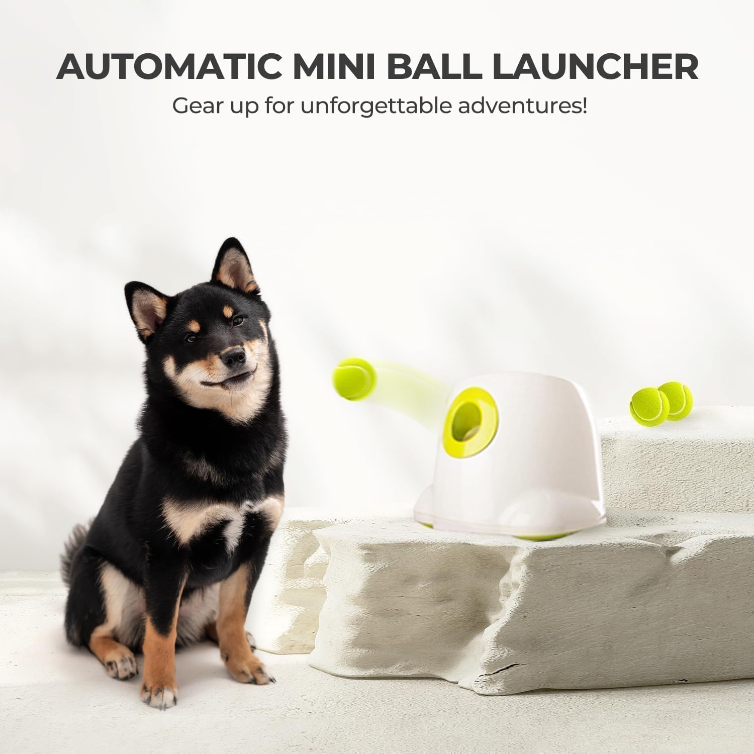 AFP Automatic Dog Ball Launcher with 3 Fetch Balls