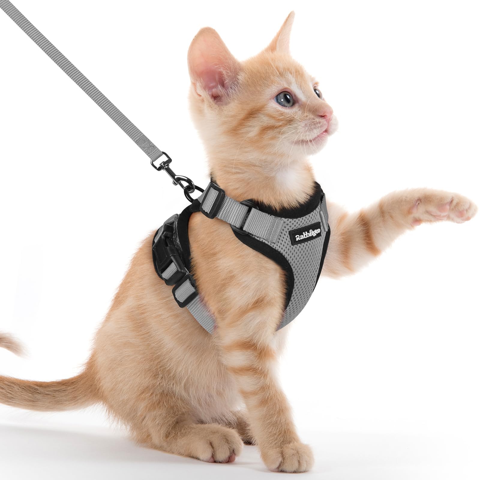 Rabbitgoo Adjustable Cat Harness and Leash Set