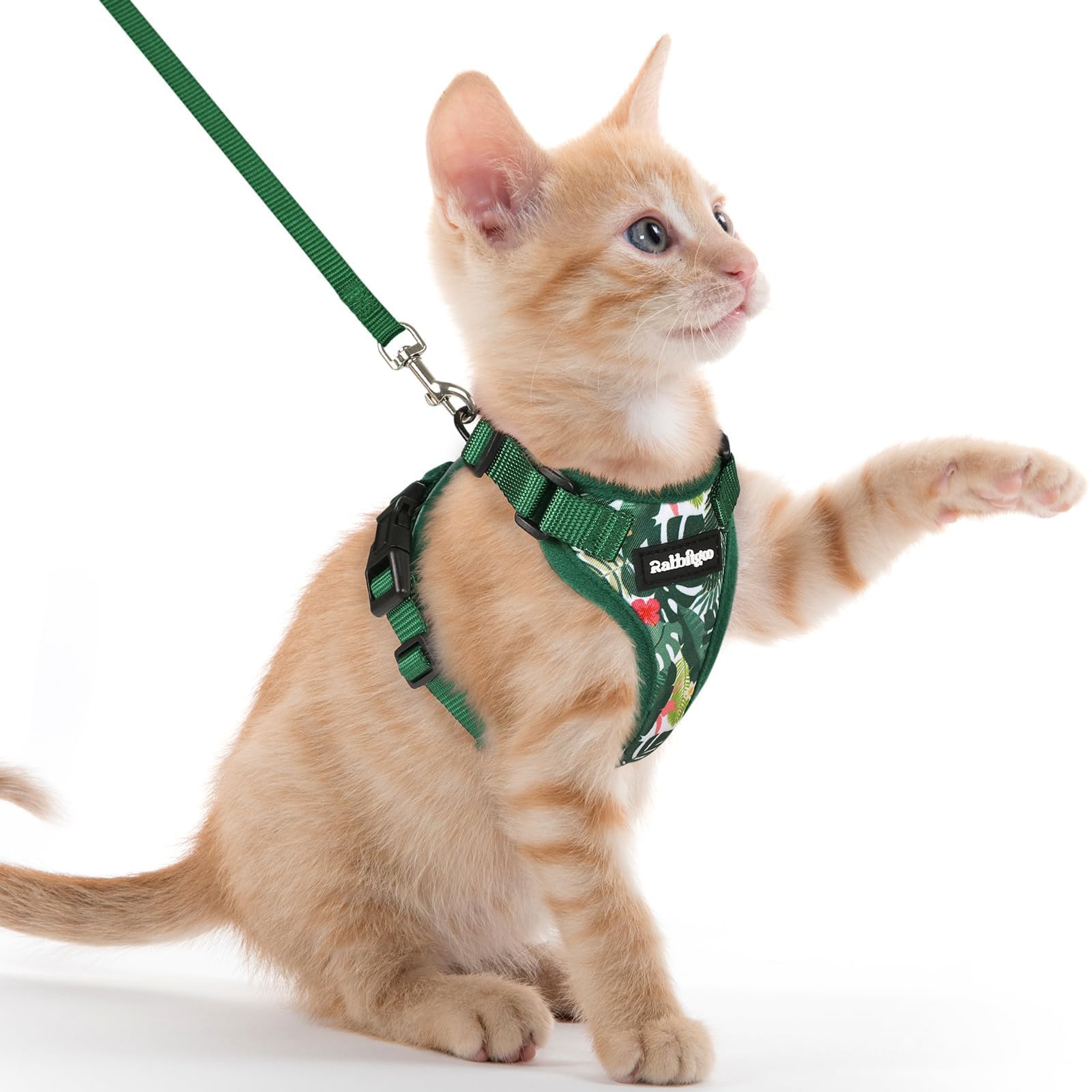 Rabbitgoo Adjustable Cat Harness and Leash Set