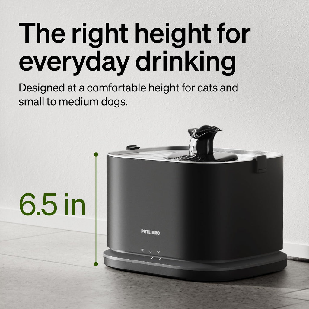 PETLIBRO Upgrade Cat Water Fountain Stainless Steel Tray, Dockstream 2 Cat Fountain Indoor, 3L/101oz Auto Cat Fountains for Drinking, App Monitoring Pet Water Fountain Dog, 5G WiFi Cat Water Dispenser