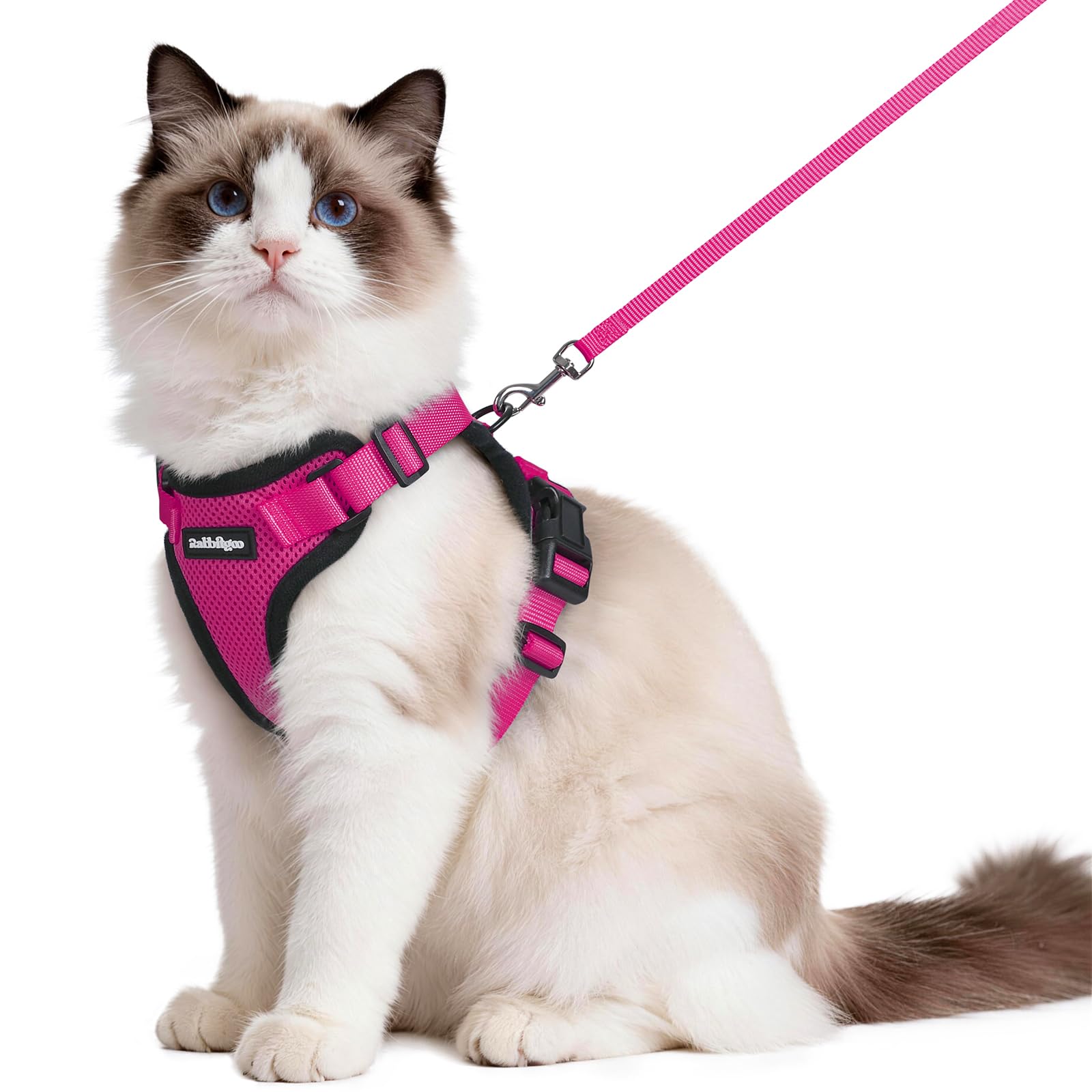Rabbitgoo Adjustable Cat Harness and Leash Set