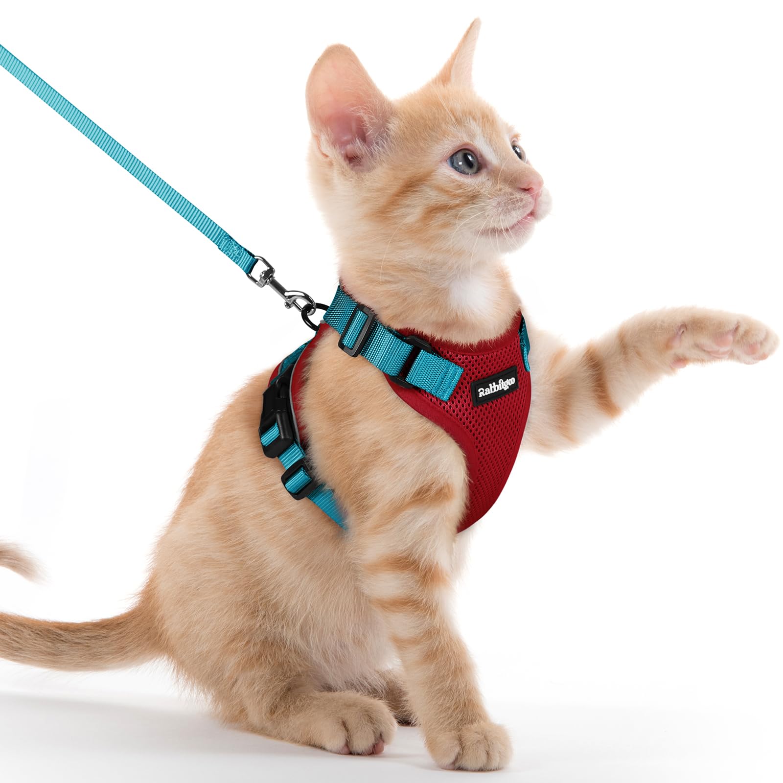 Rabbitgoo Adjustable Cat Harness and Leash Set