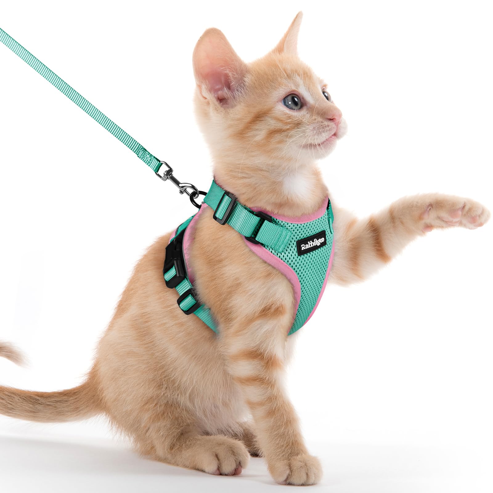 Rabbitgoo Adjustable Cat Harness and Leash Set