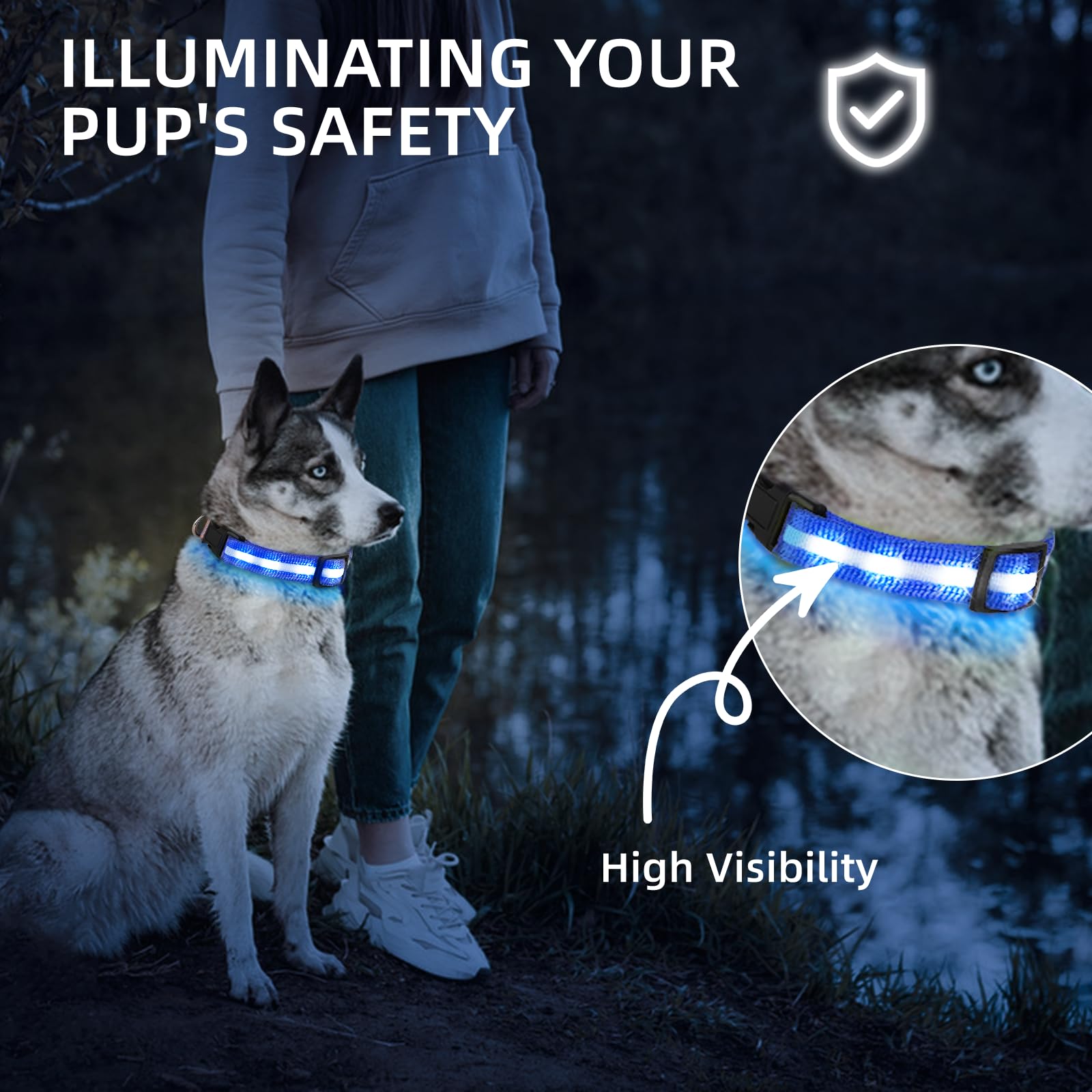 Super Bright USB-C Rechargeable LED Dog Safety Collar