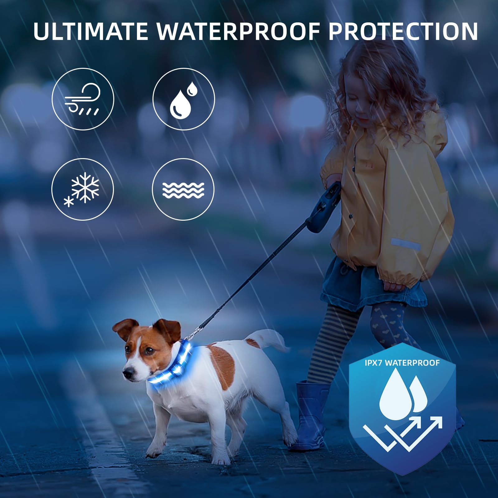 Super Bright USB-C Rechargeable LED Dog Safety Collar
