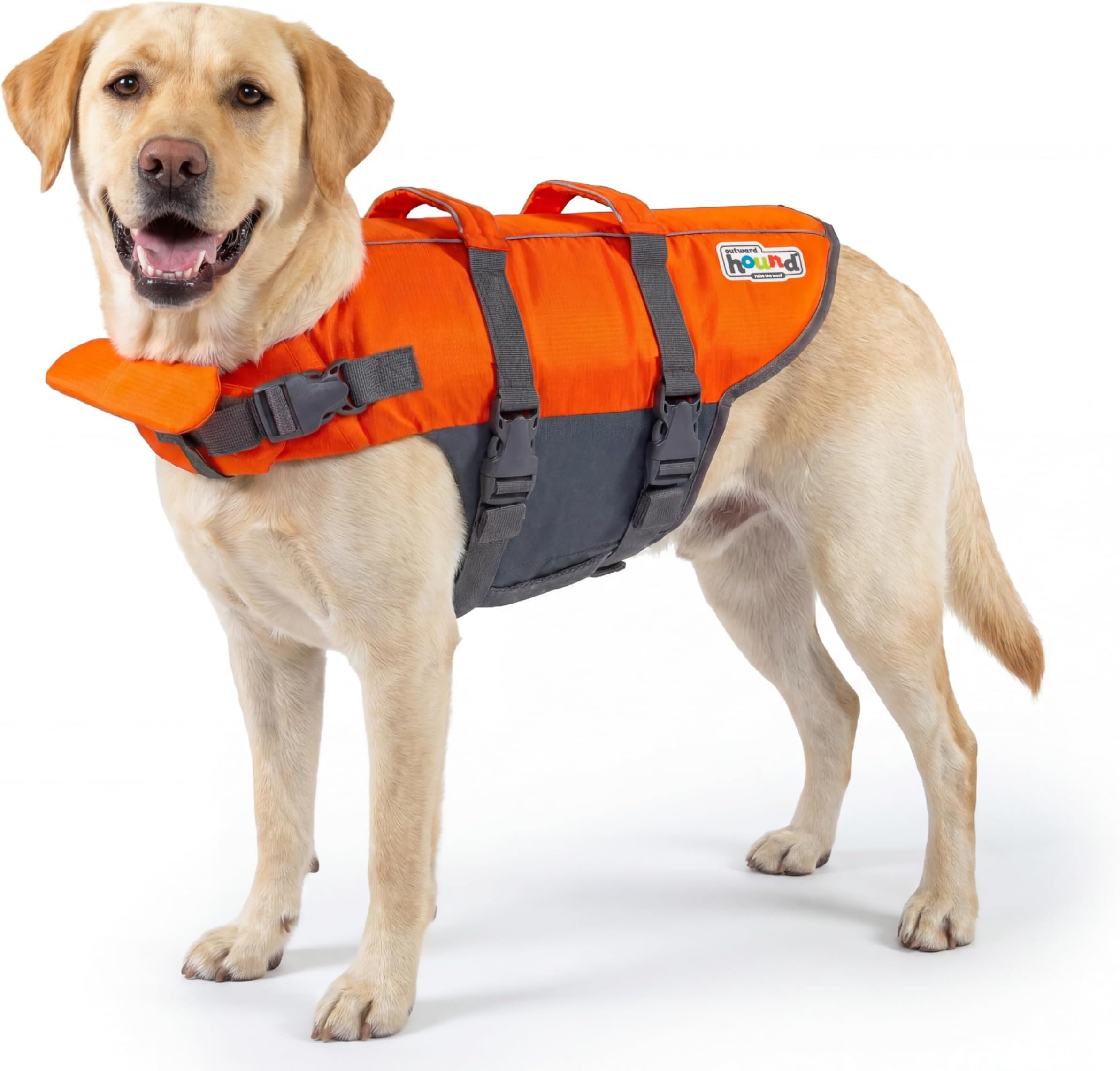 Outward Hound Dawson Red Dog Life Jacket, Large