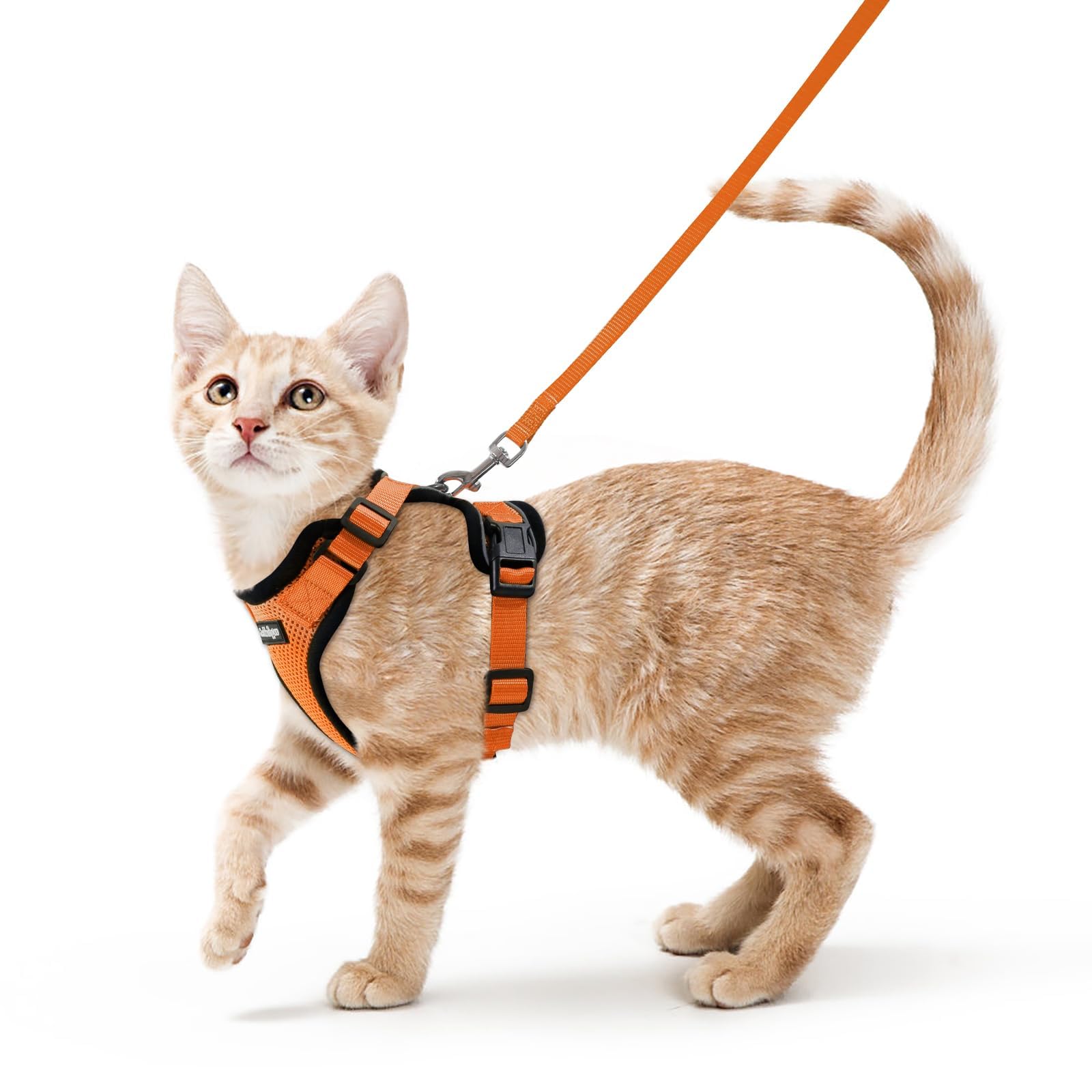 Rabbitgoo Adjustable Cat Harness and Leash Set
