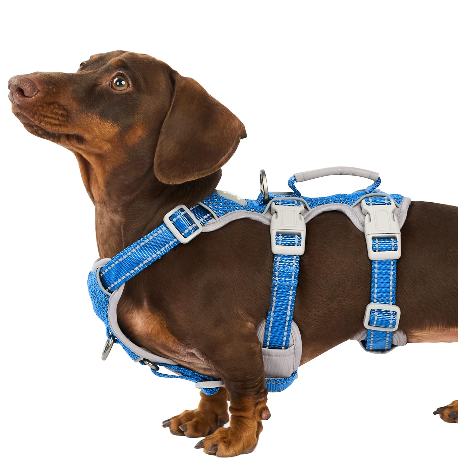 Huntboo Escape-Proof Reflective Dog Harness with Handle