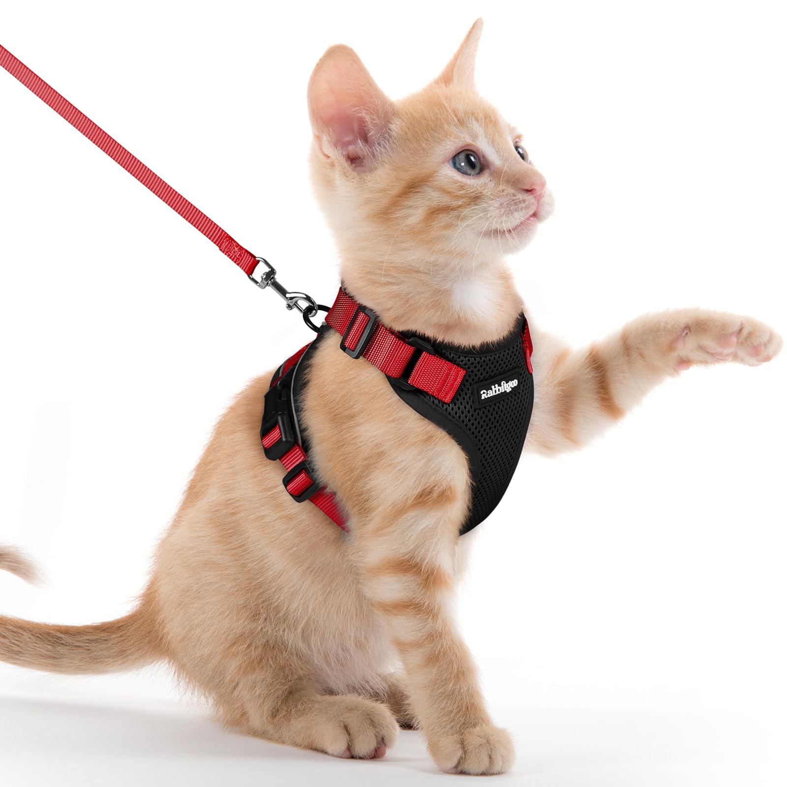 Rabbitgoo Adjustable Cat Harness and Leash Set
