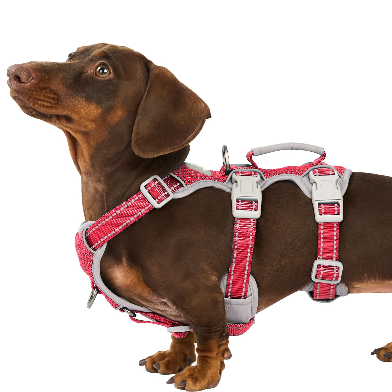 Huntboo Escape-Proof Reflective Dog Harness with Handle