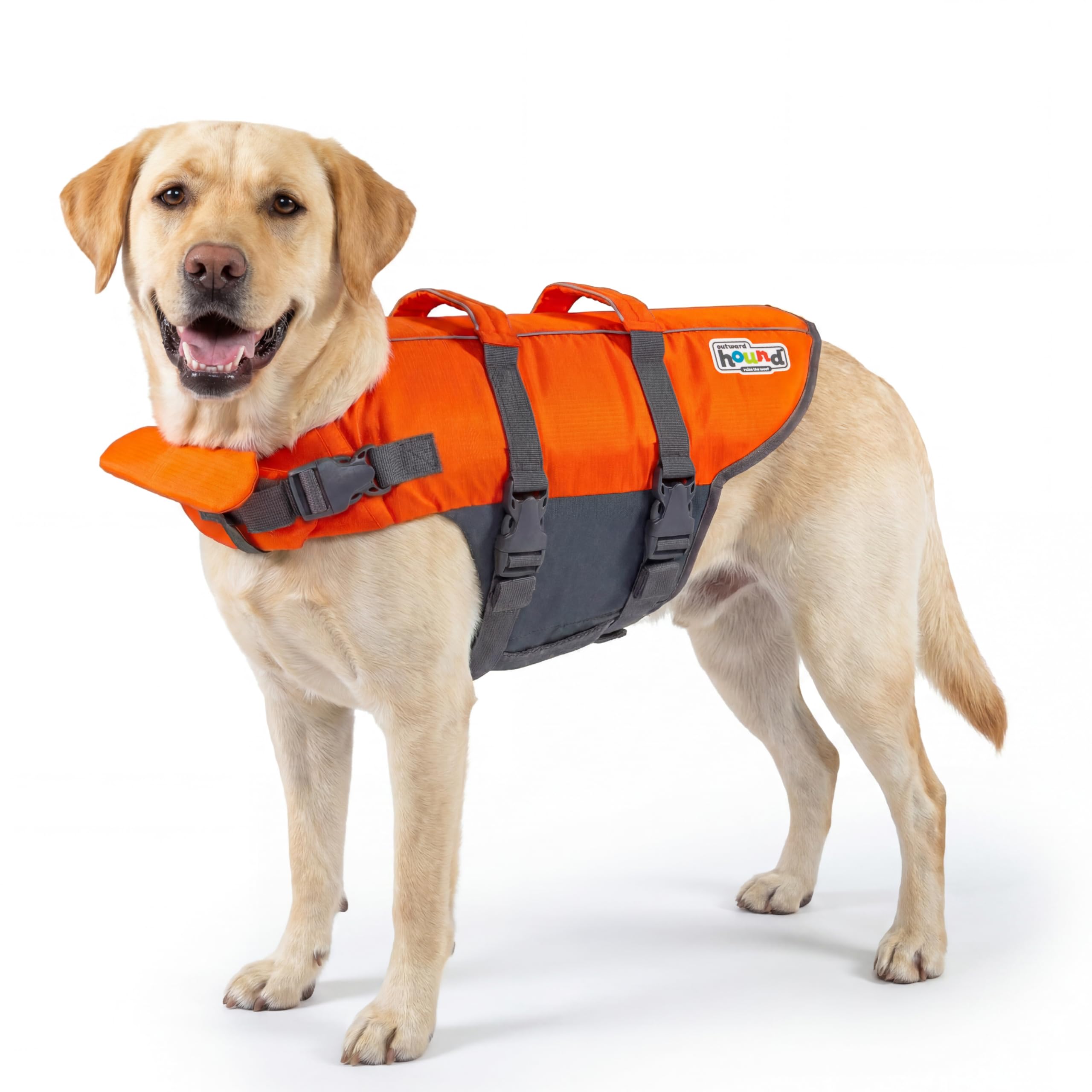 Outward Hound Dawson Red Dog Life Jacket, Large