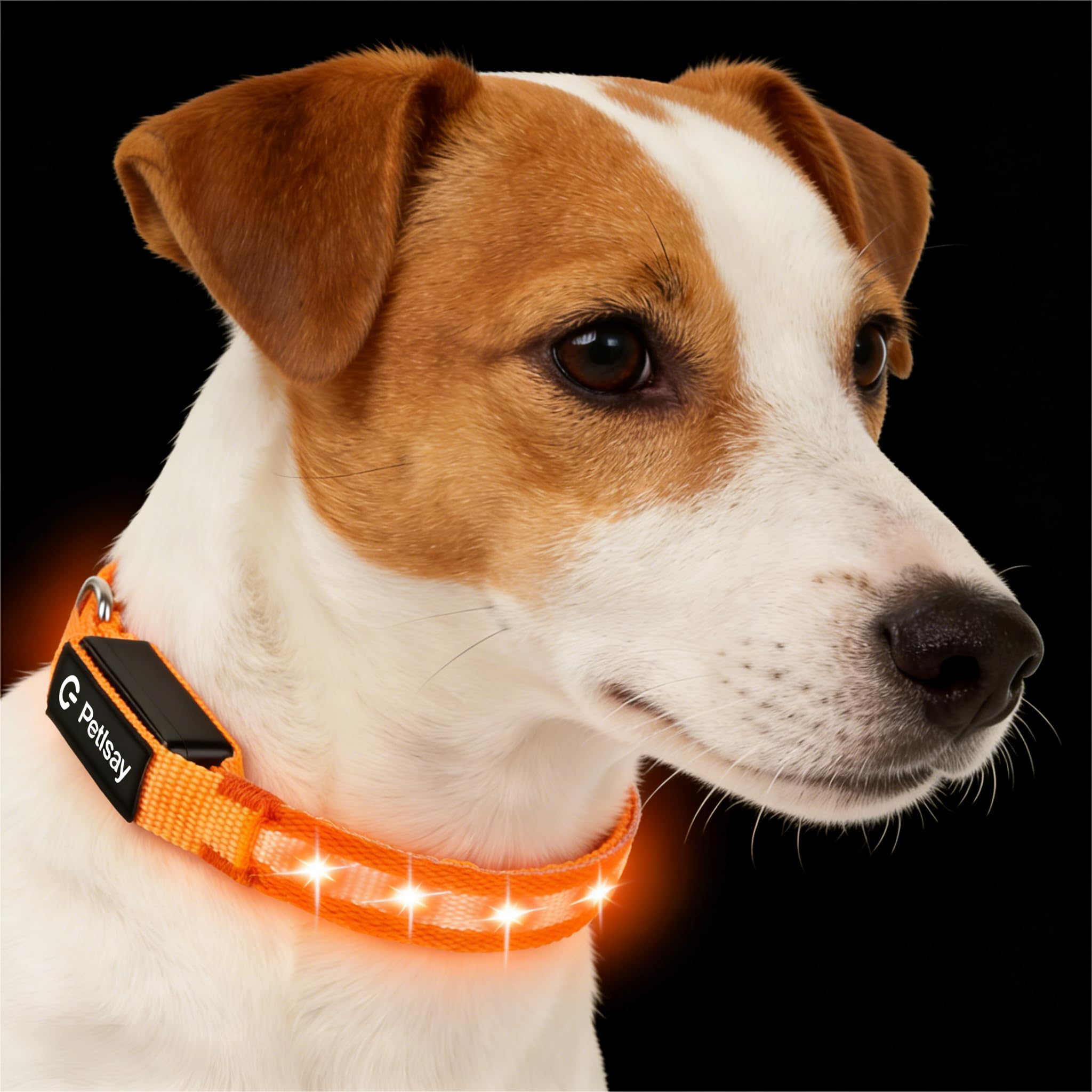 Super Bright USB-C Rechargeable LED Dog Safety Collar