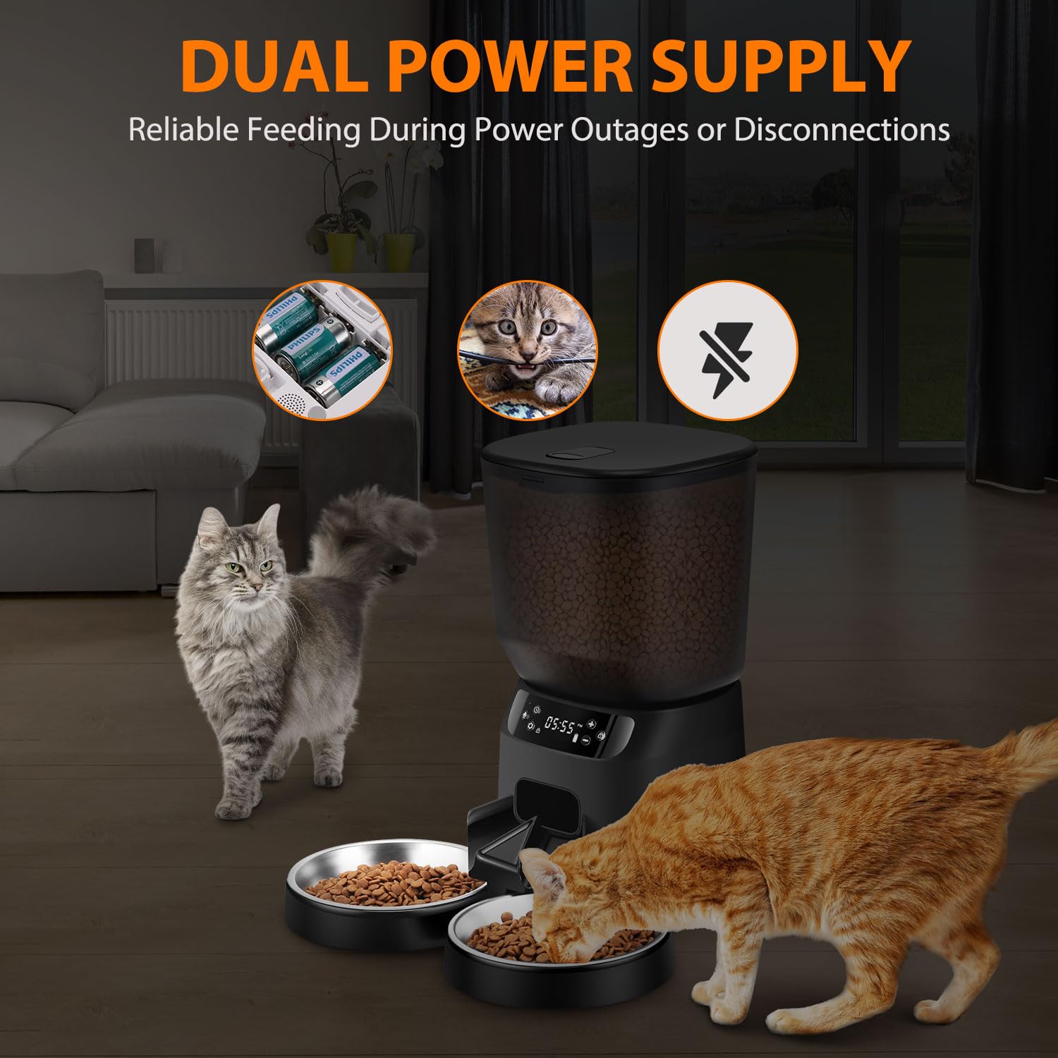 Automatic Cat Feeders for Two Cats