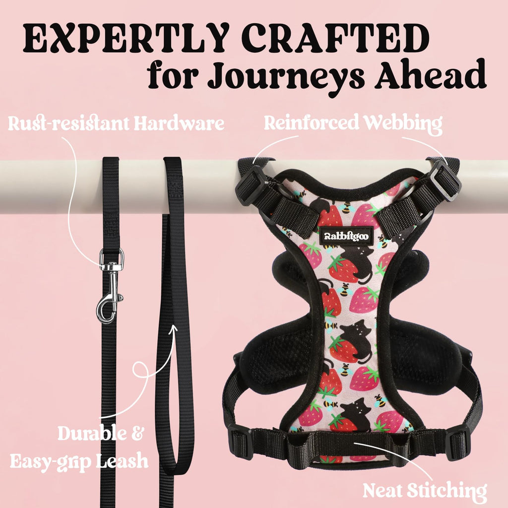 Rabbitgoo Adjustable Cat Harness and Leash Set