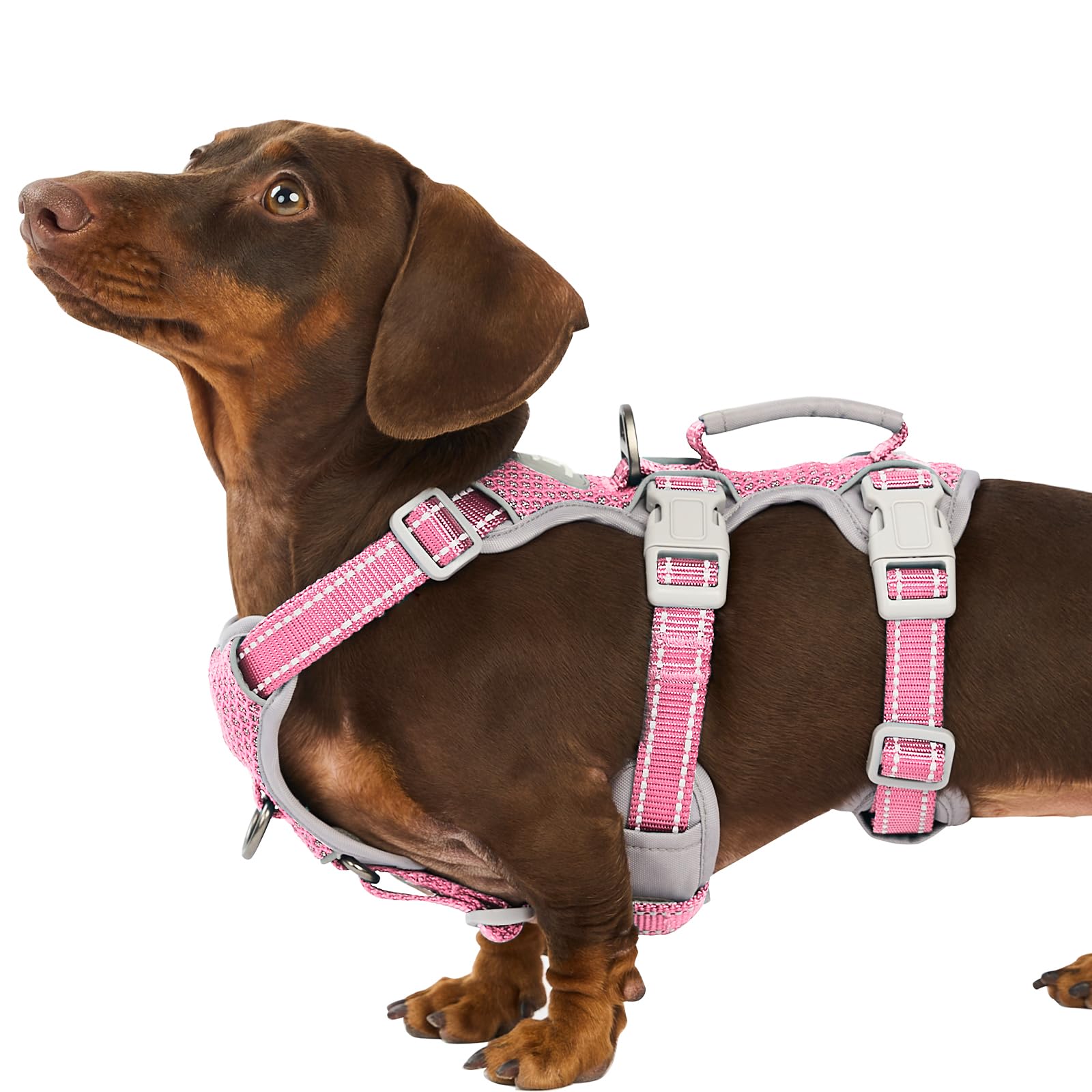 Huntboo Escape-Proof Reflective Dog Harness with Handle