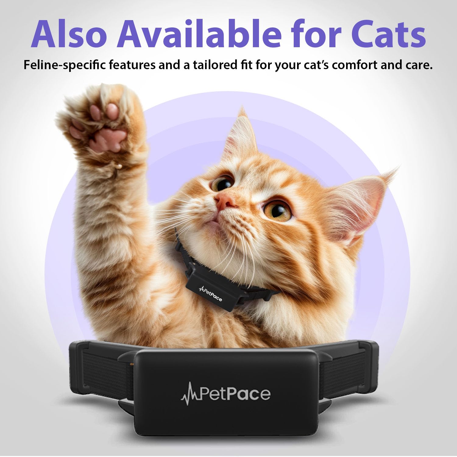 AI Smart Dog Health Collar – 24/7 Vital Signs Monitor, GPS Tracking, Heart Rate, Pain Detection, Telehealth Vet Access, Smart Watch Sync | PetPace V3.0 - Subscription Required