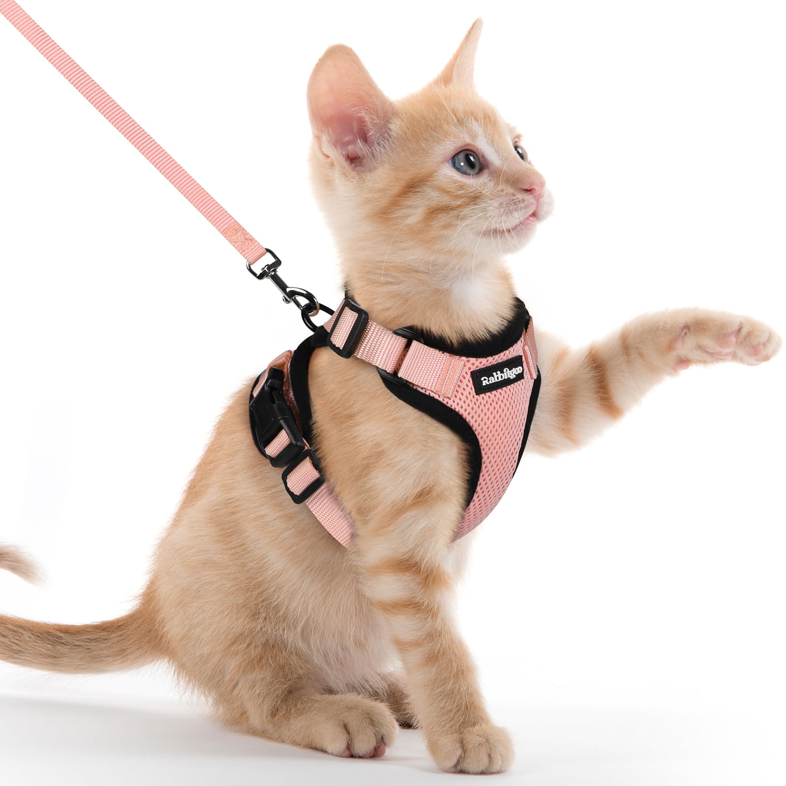 Rabbitgoo Adjustable Cat Harness and Leash Set