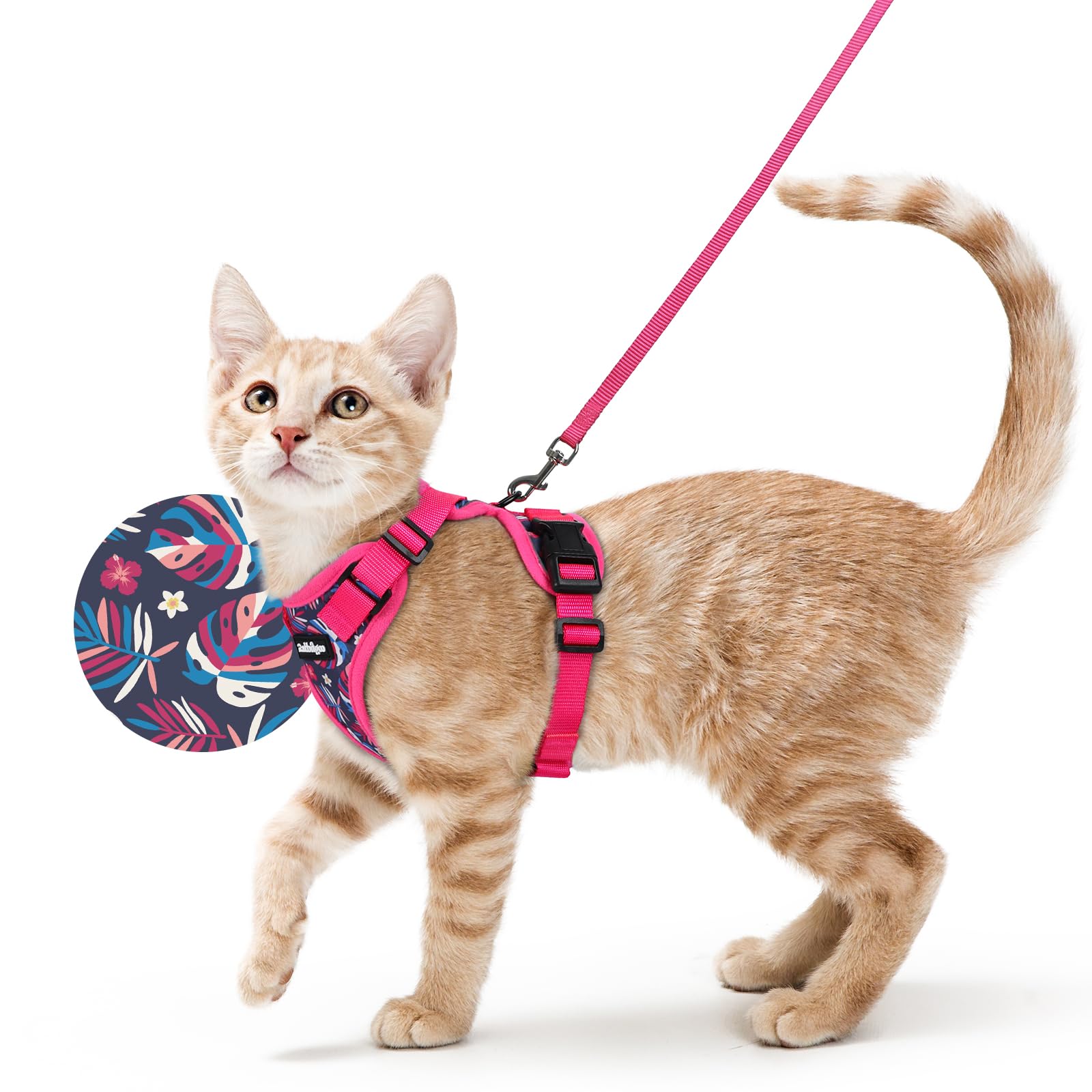 Rabbitgoo Adjustable Cat Harness and Leash Set