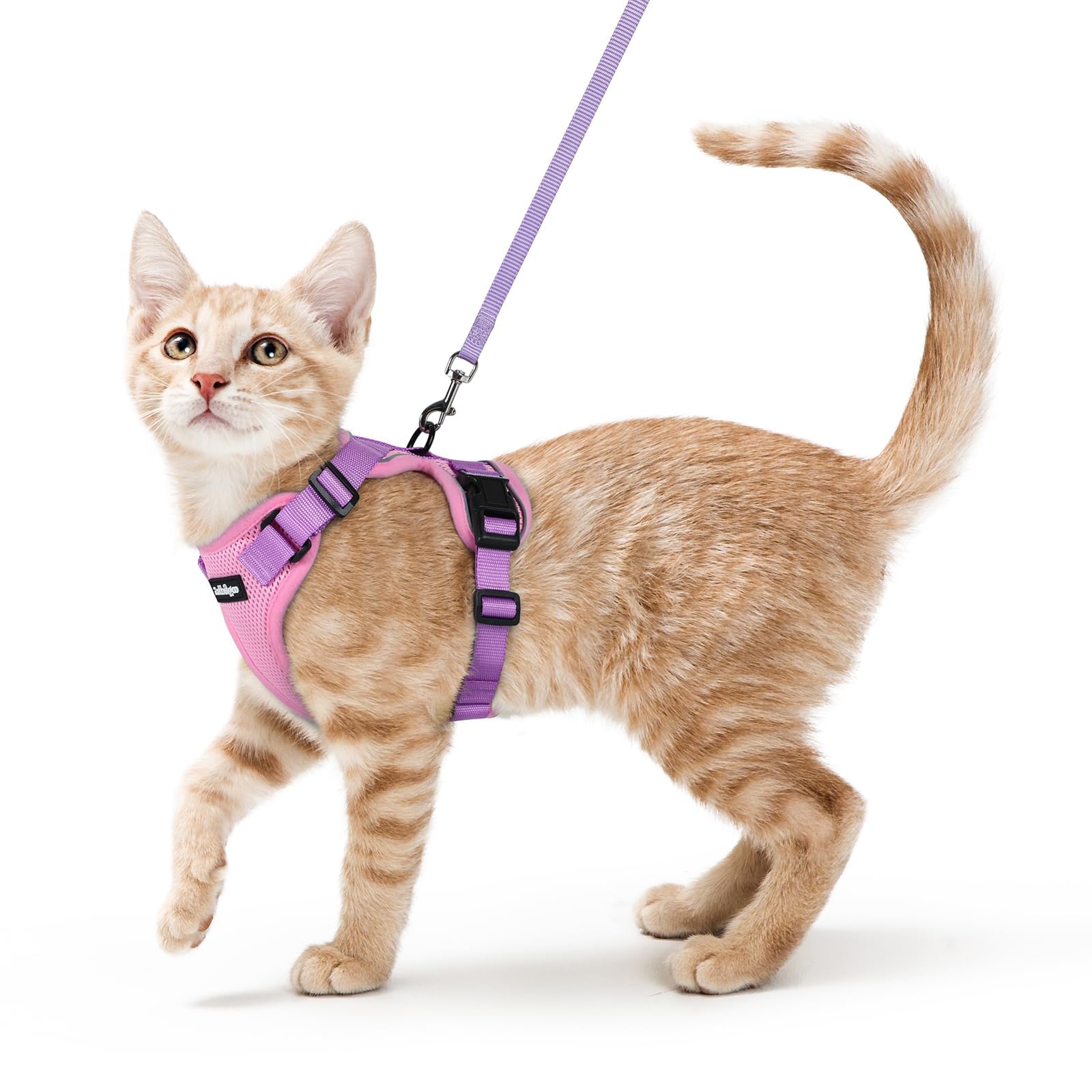 Rabbitgoo Adjustable Cat Harness and Leash Set