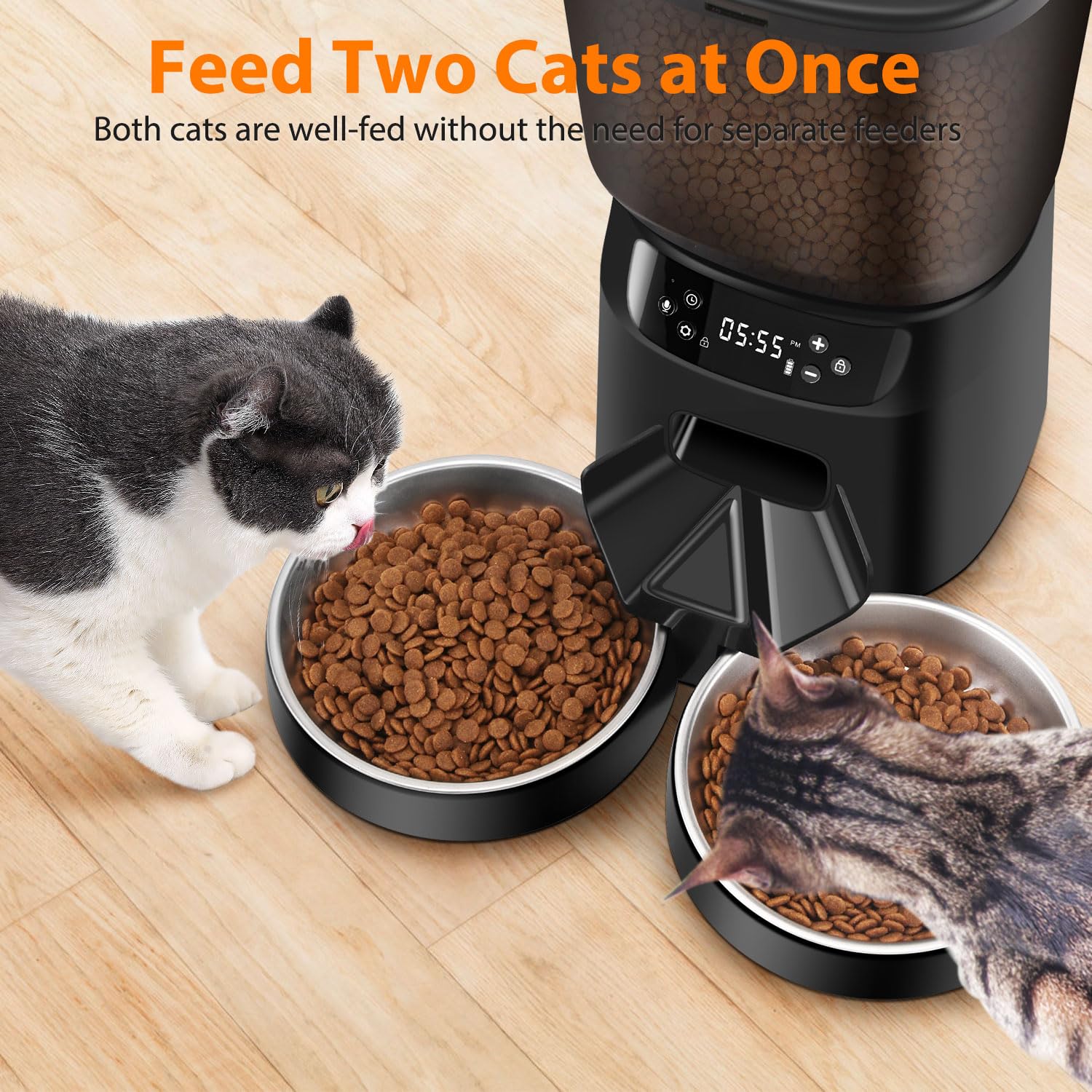 Automatic Cat Feeders for Two Cats
