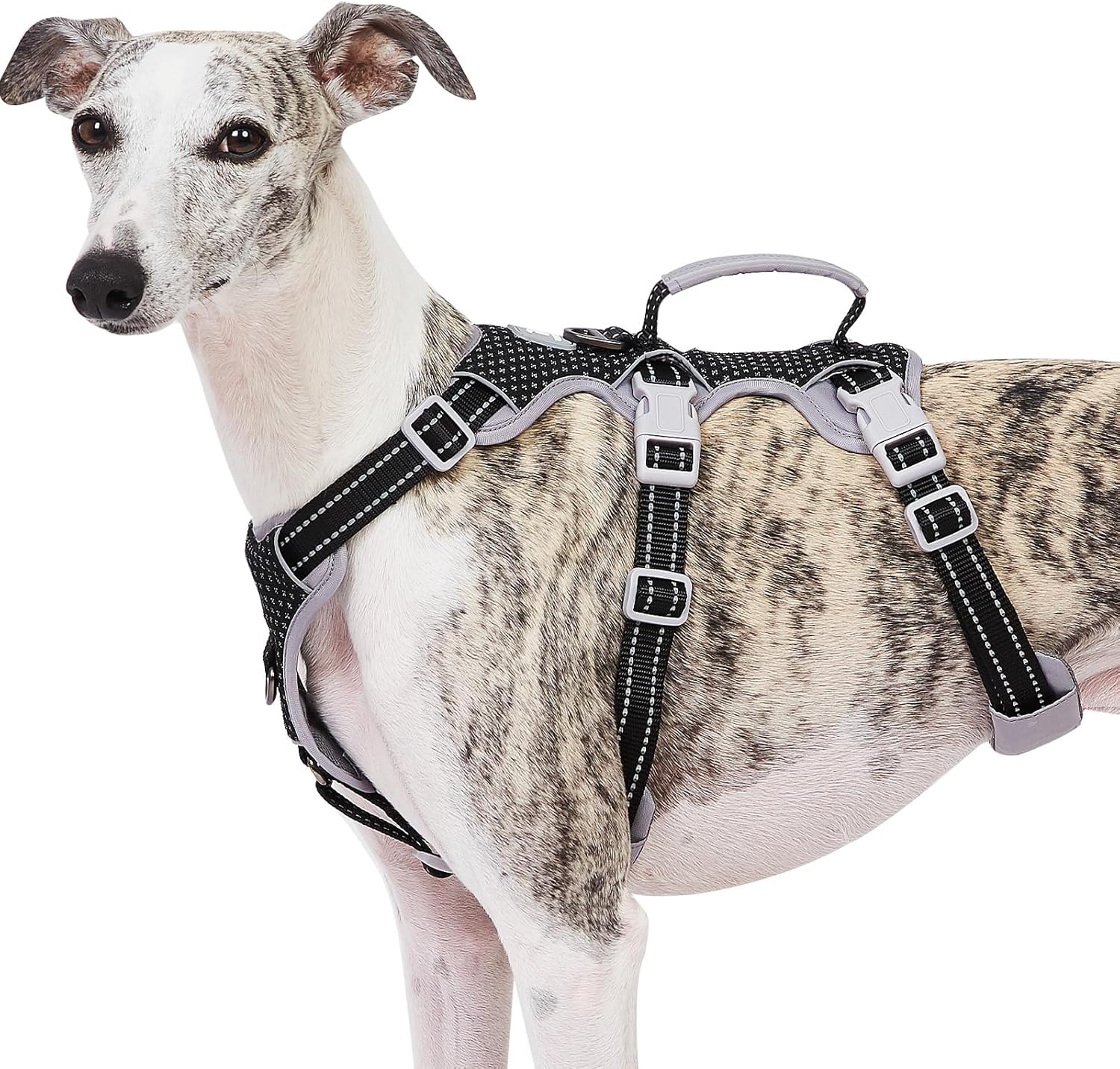Huntboo Escape-Proof Reflective Dog Harness with Handle