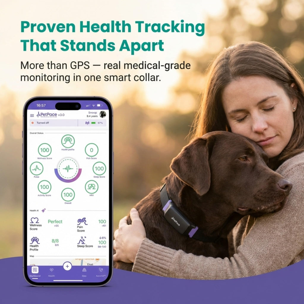 AI Smart Dog Health Collar – 24/7 Vital Signs Monitor, GPS Tracking, Heart Rate, Pain Detection, Telehealth Vet Access, Smart Watch Sync | PetPace V3.0 - Subscription Required
